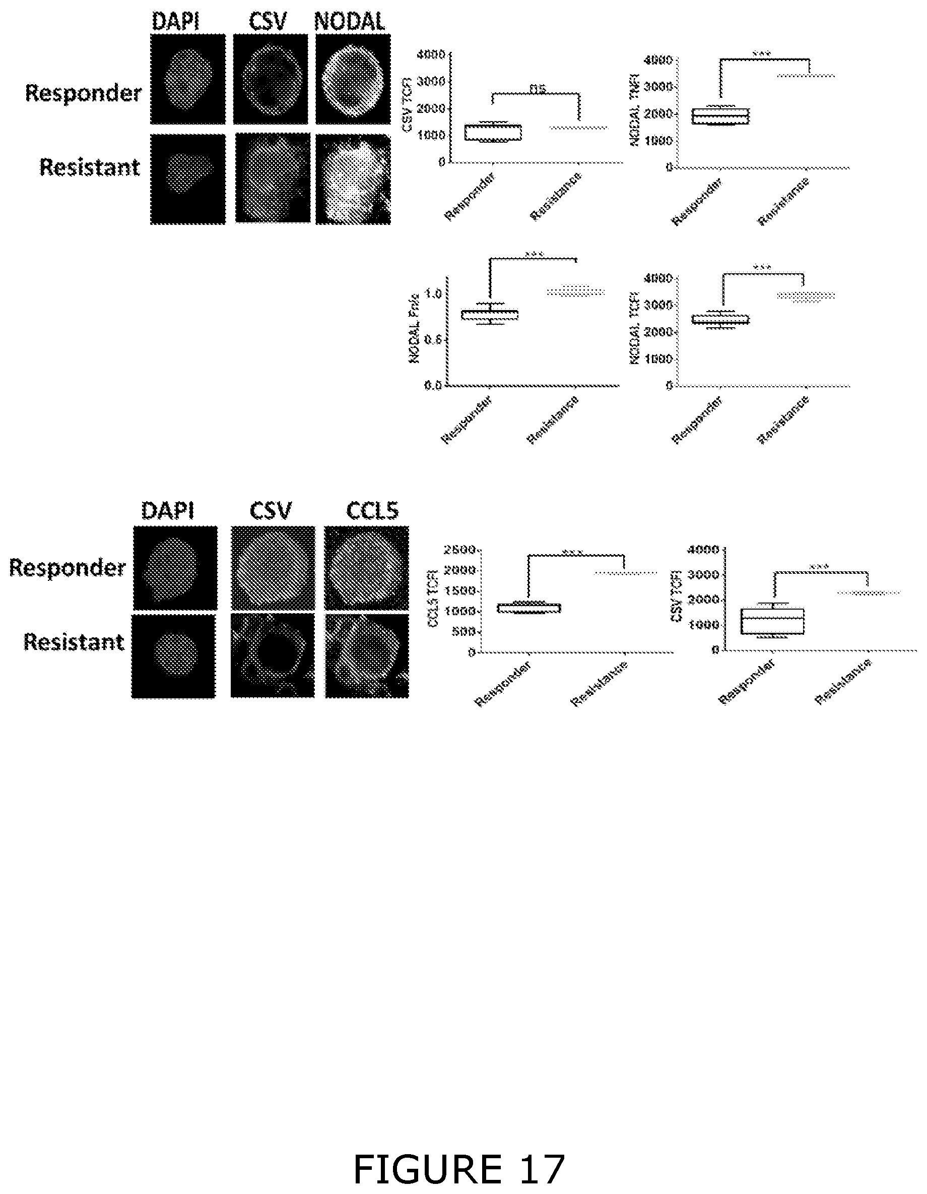 Patent US12174193 Figure 17 – Agents and methods for predicting response to therapy