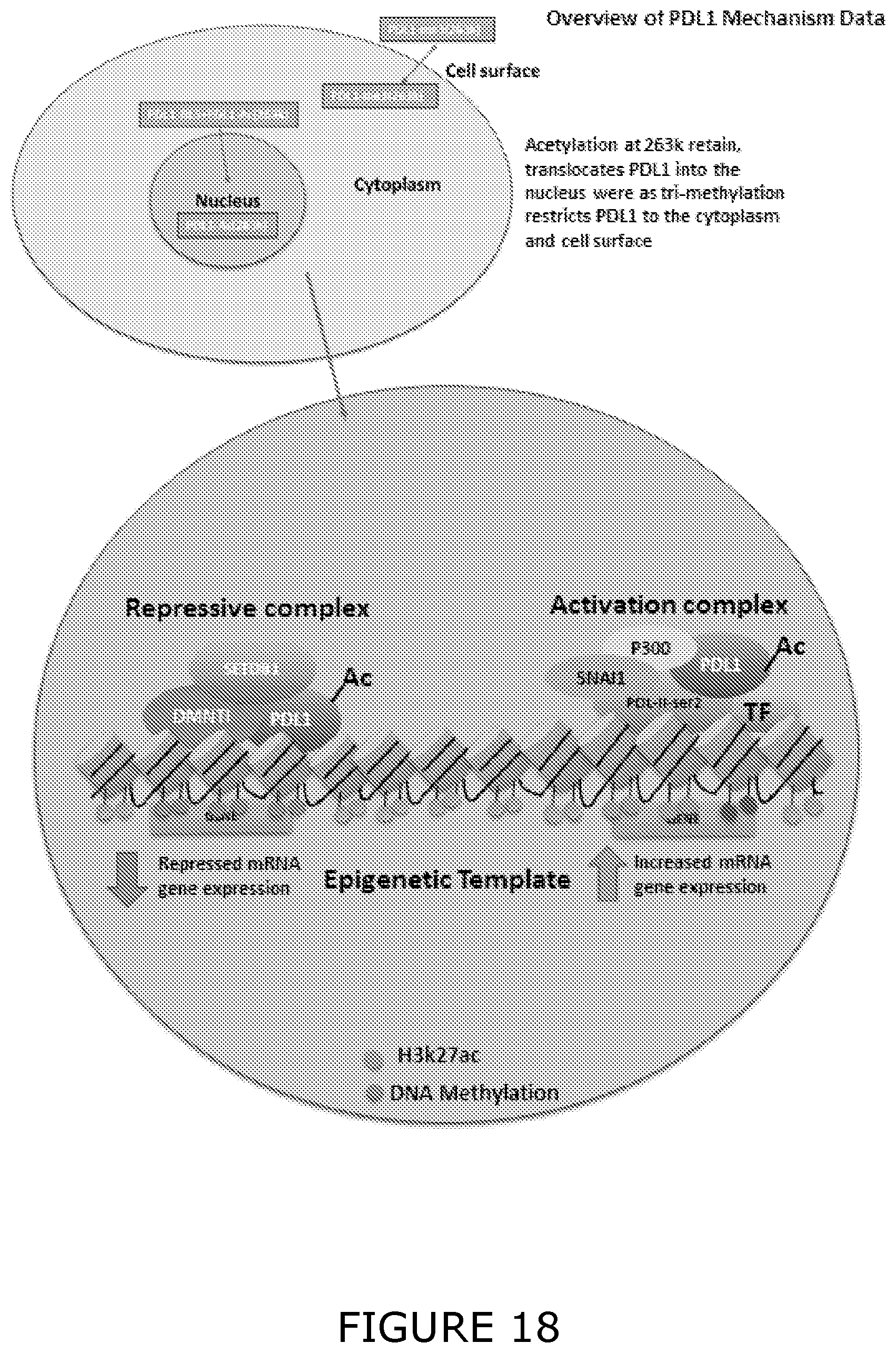 Patent US12174193 Figure 18 – Agents and methods for predicting response to therapy