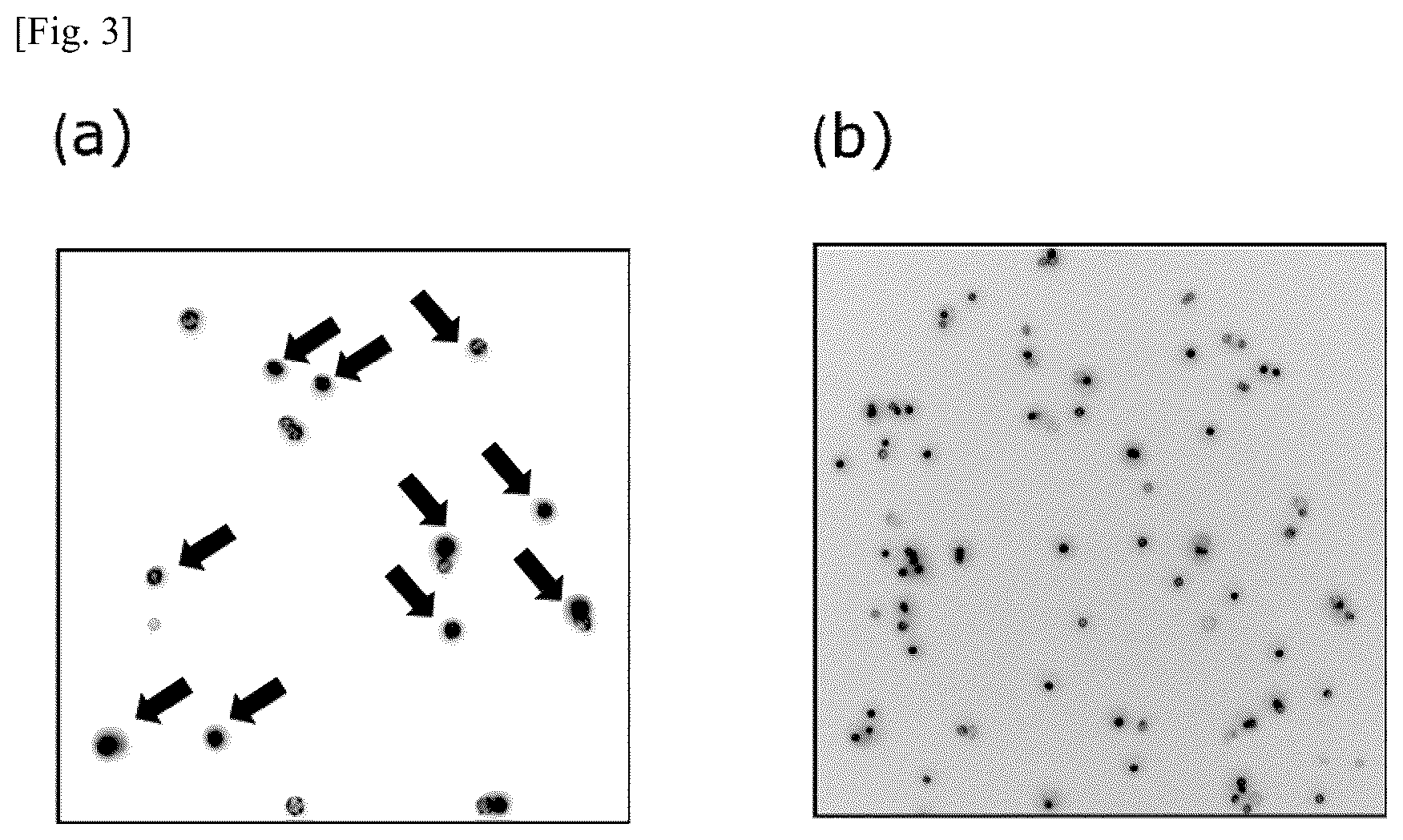 Patent US12174194 Figure 3 – Tumor marker, and method for collecting and detecting tumor cell in distinction from contaminant cell