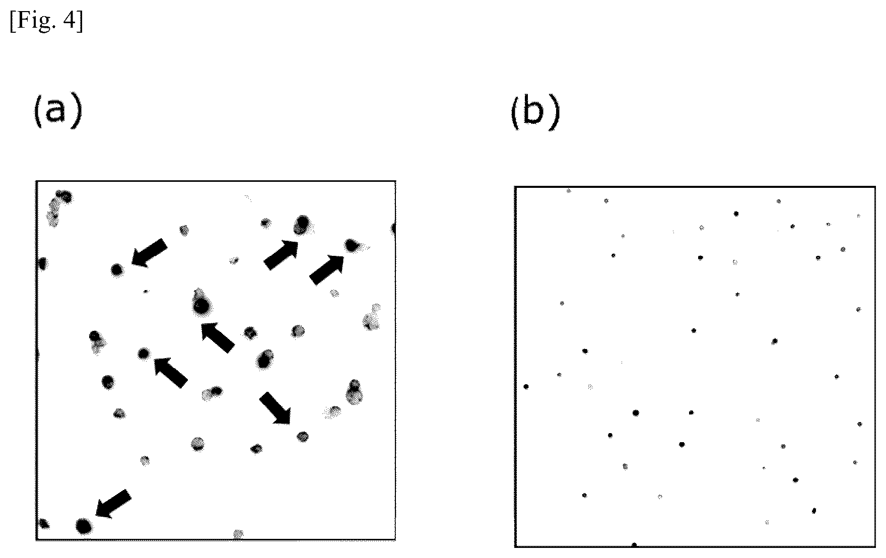 Patent US12174194 Figure 4 – Tumor marker, and method for collecting and detecting tumor cell in distinction from contaminant cell
