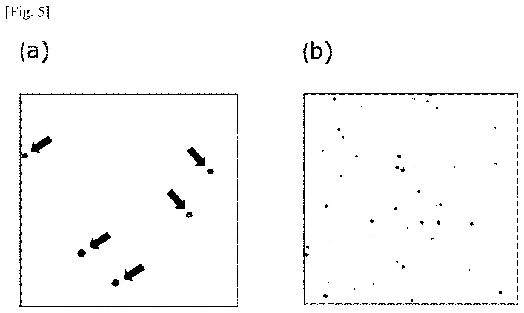 Patent US12174194 Figure 5 – Tumor marker, and method for collecting and detecting tumor cell in distinction from contaminant cell