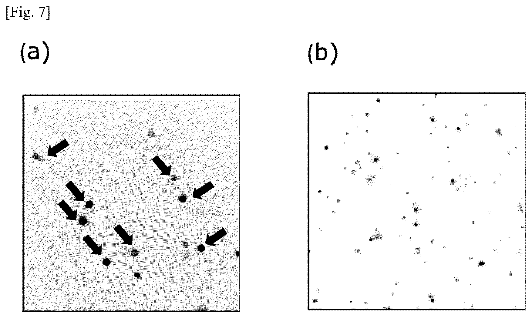 Patent US12174194 Figure 7 – Tumor marker, and method for collecting and detecting tumor cell in distinction from contaminant cell