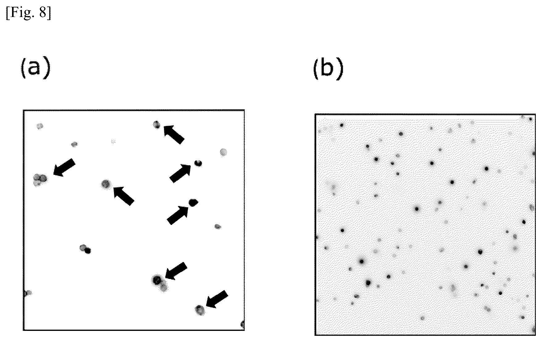 Patent US12174194 Figure 8 – Tumor marker, and method for collecting and detecting tumor cell in distinction from contaminant cell