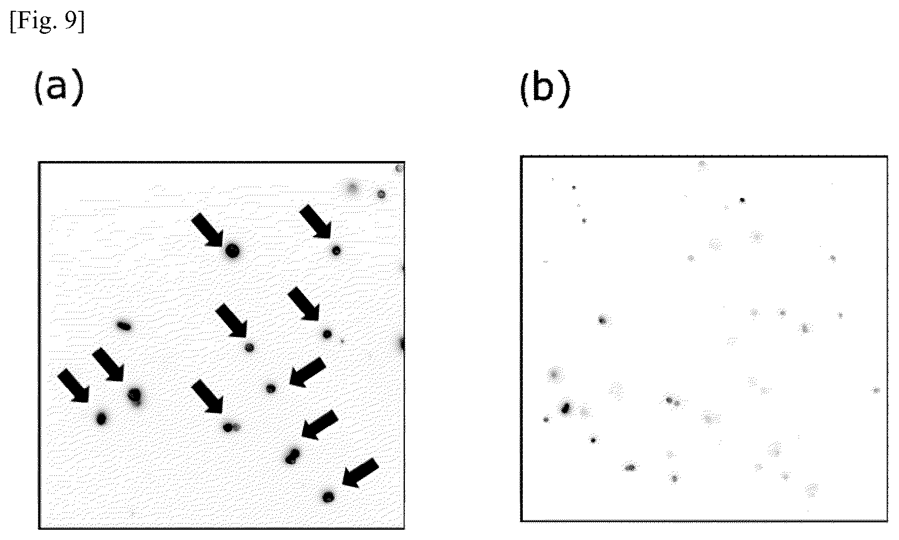 Patent US12174194 Figure 9 – Tumor marker, and method for collecting and detecting tumor cell in distinction from contaminant cell