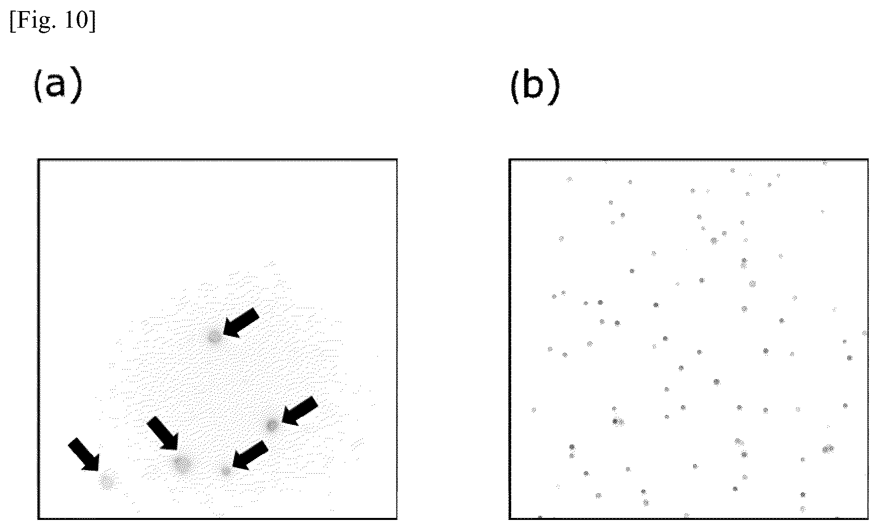 Patent US12174194 Figure 10 – Tumor marker, and method for collecting and detecting tumor cell in distinction from contaminant cell