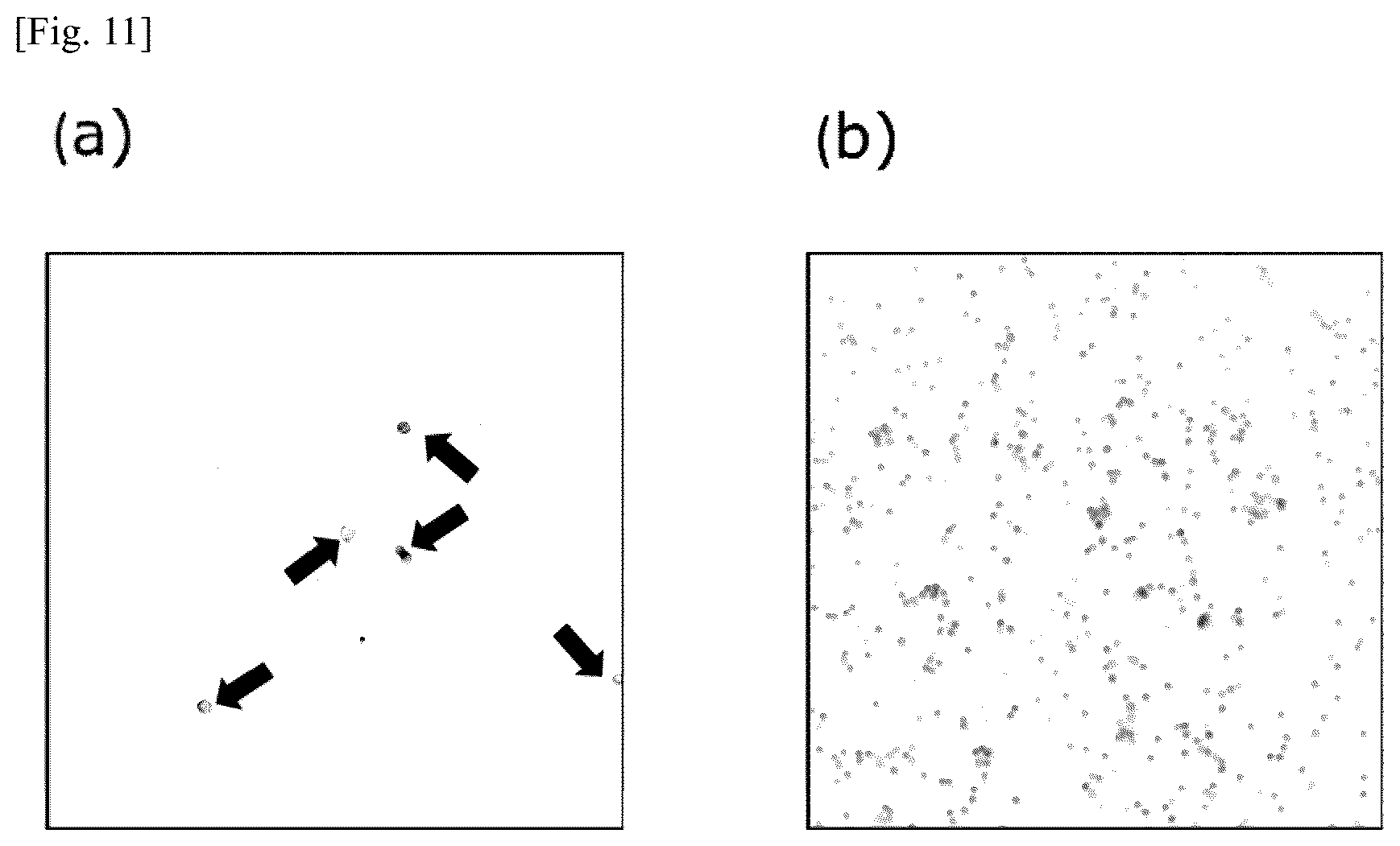 Patent US12174194 Figure 11 – Tumor marker, and method for collecting and detecting tumor cell in distinction from contaminant cell