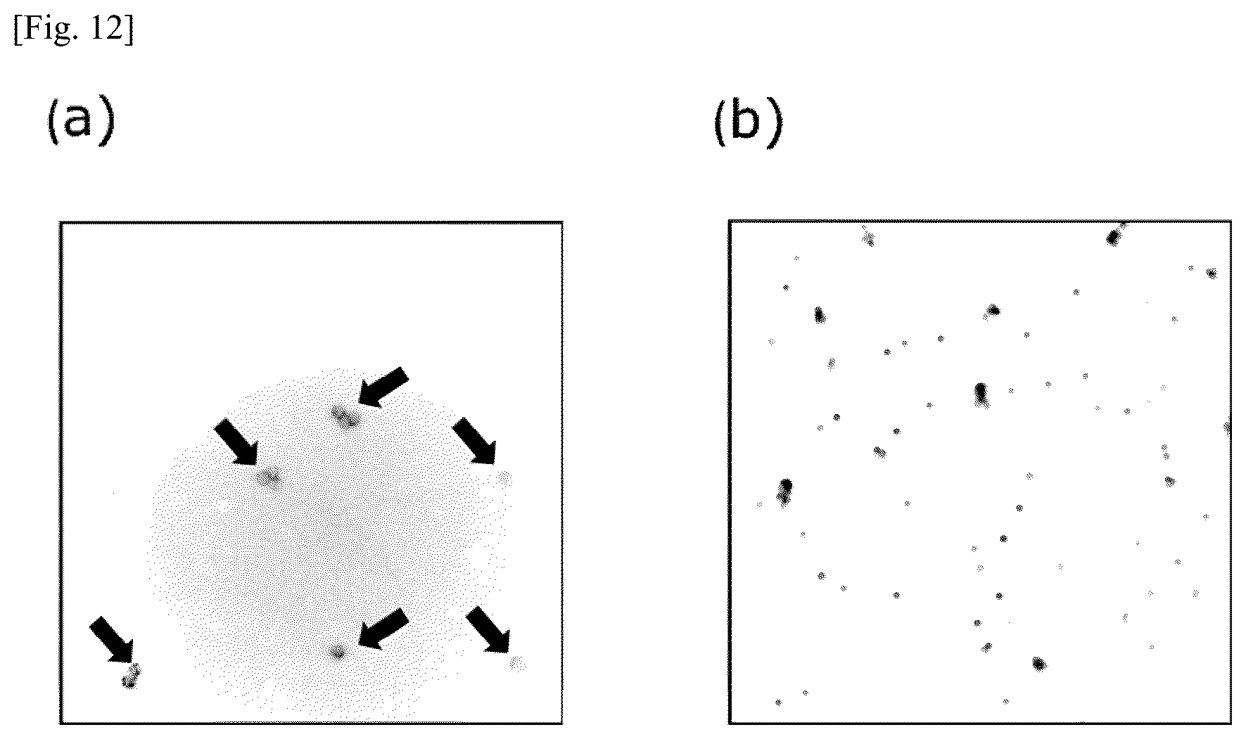 Patent US12174194 Figure 12 – Tumor marker, and method for collecting and detecting tumor cell in distinction from contaminant cell