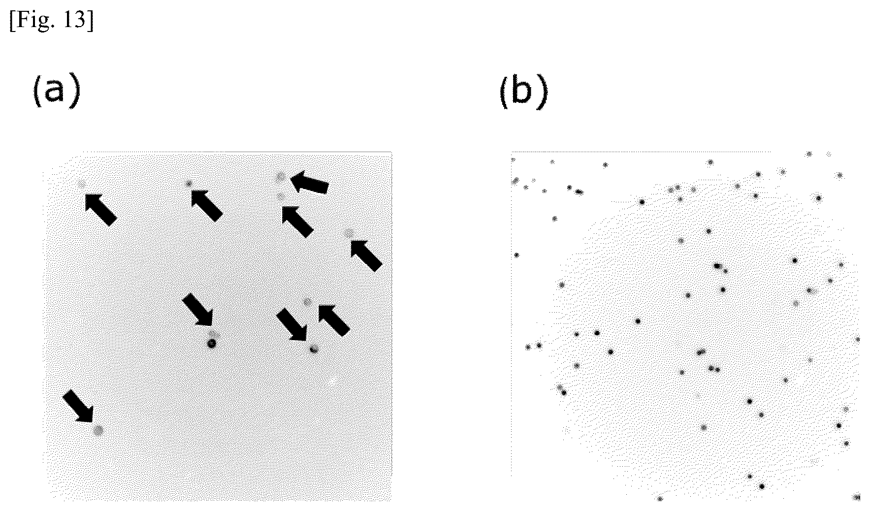 Patent US12174194 Figure 13 – Tumor marker, and method for collecting and detecting tumor cell in distinction from contaminant cell