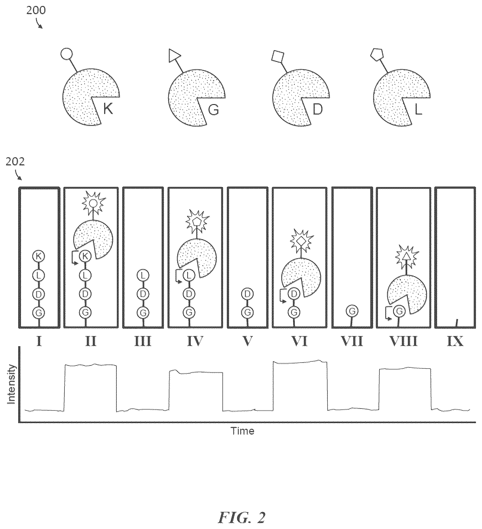 Patent US12174196 Figure 4 – Methods and compositions for protein sequencing