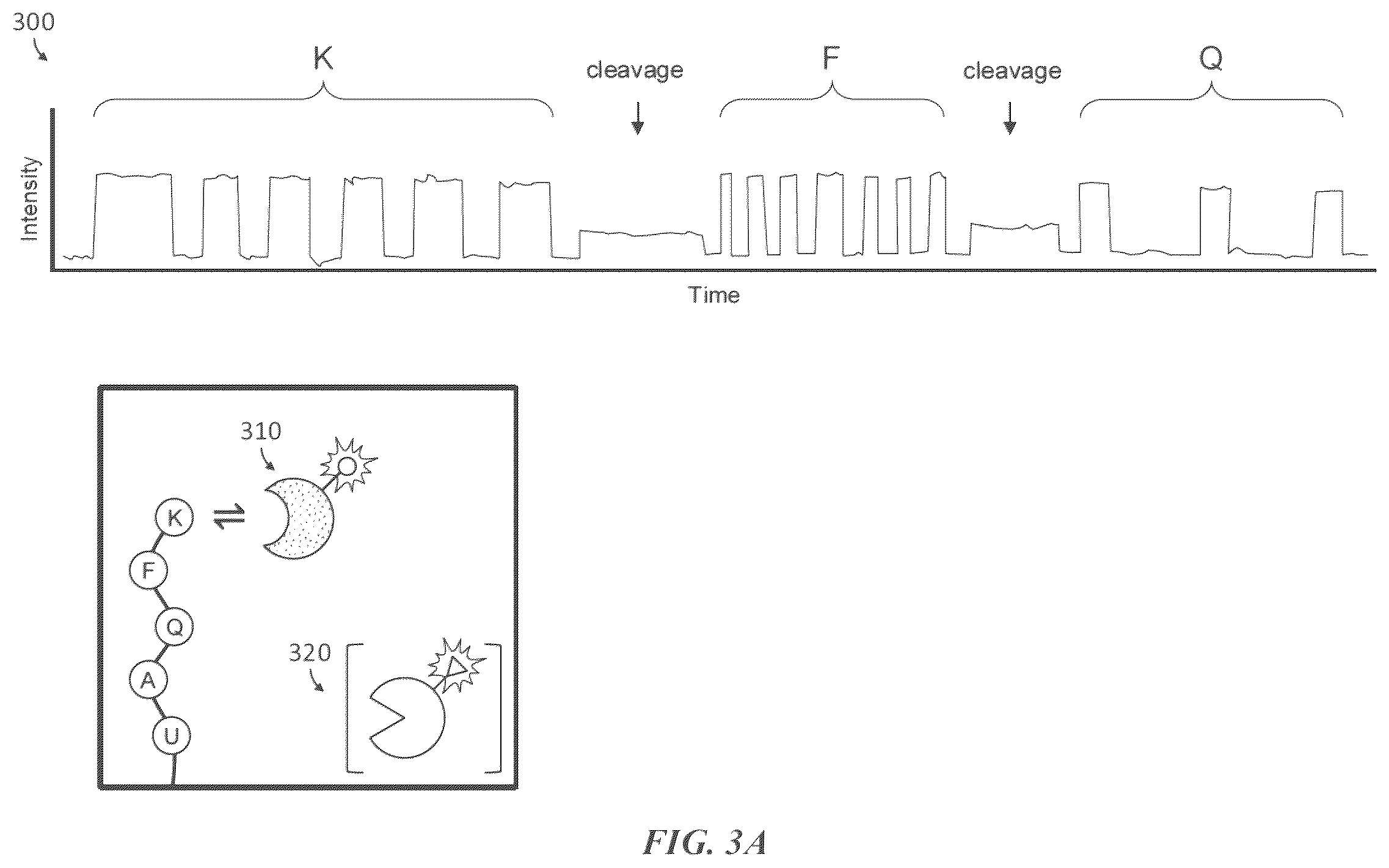 Patent US12174196 Figure 5 – Methods and compositions for protein sequencing