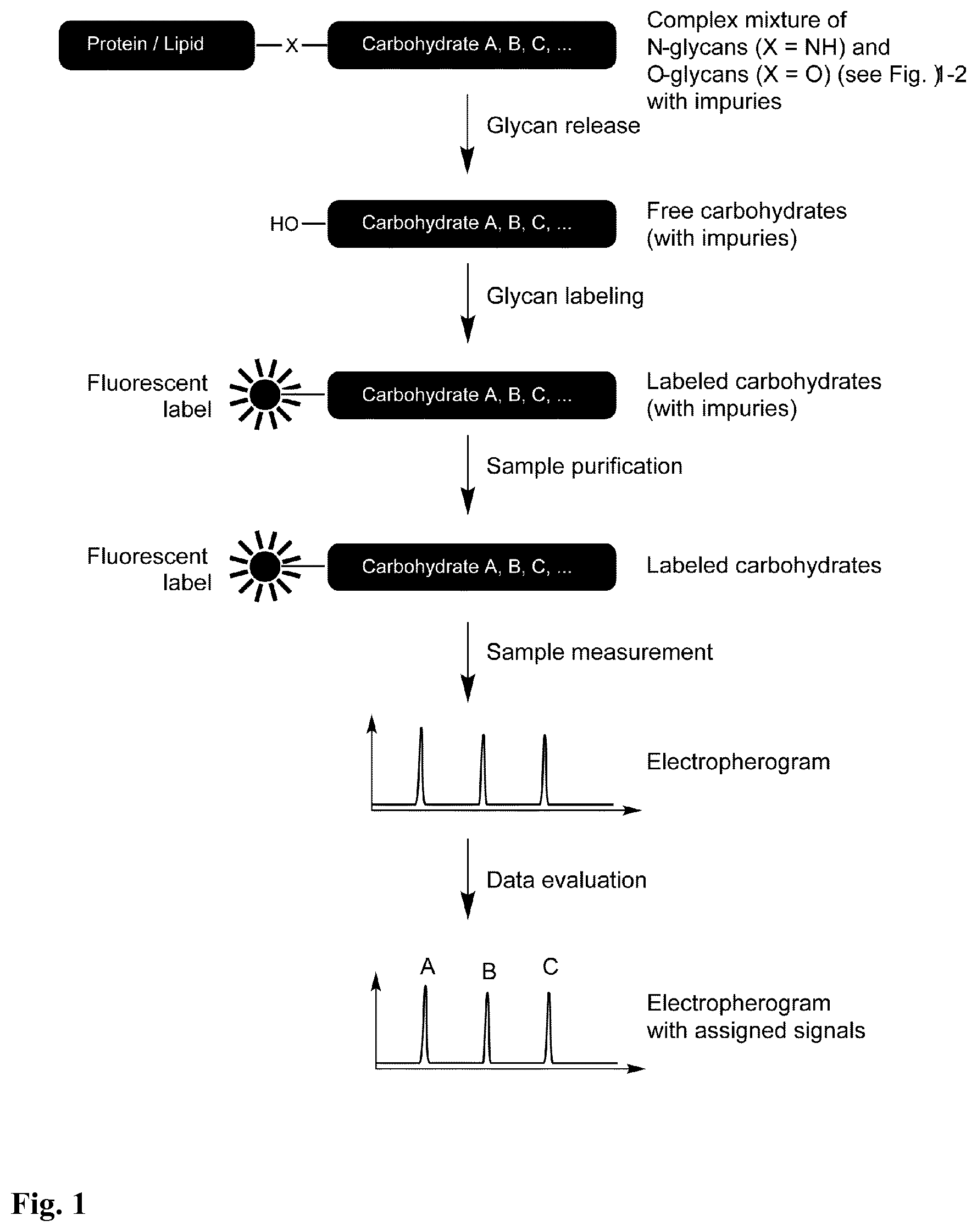 Patent US12174197 Figure 1 – Sulfonated 2(7)-aminoacridone and 1-aminopyrene dyes and their use as fluorescent tags, in particular for carbohydrate analysis