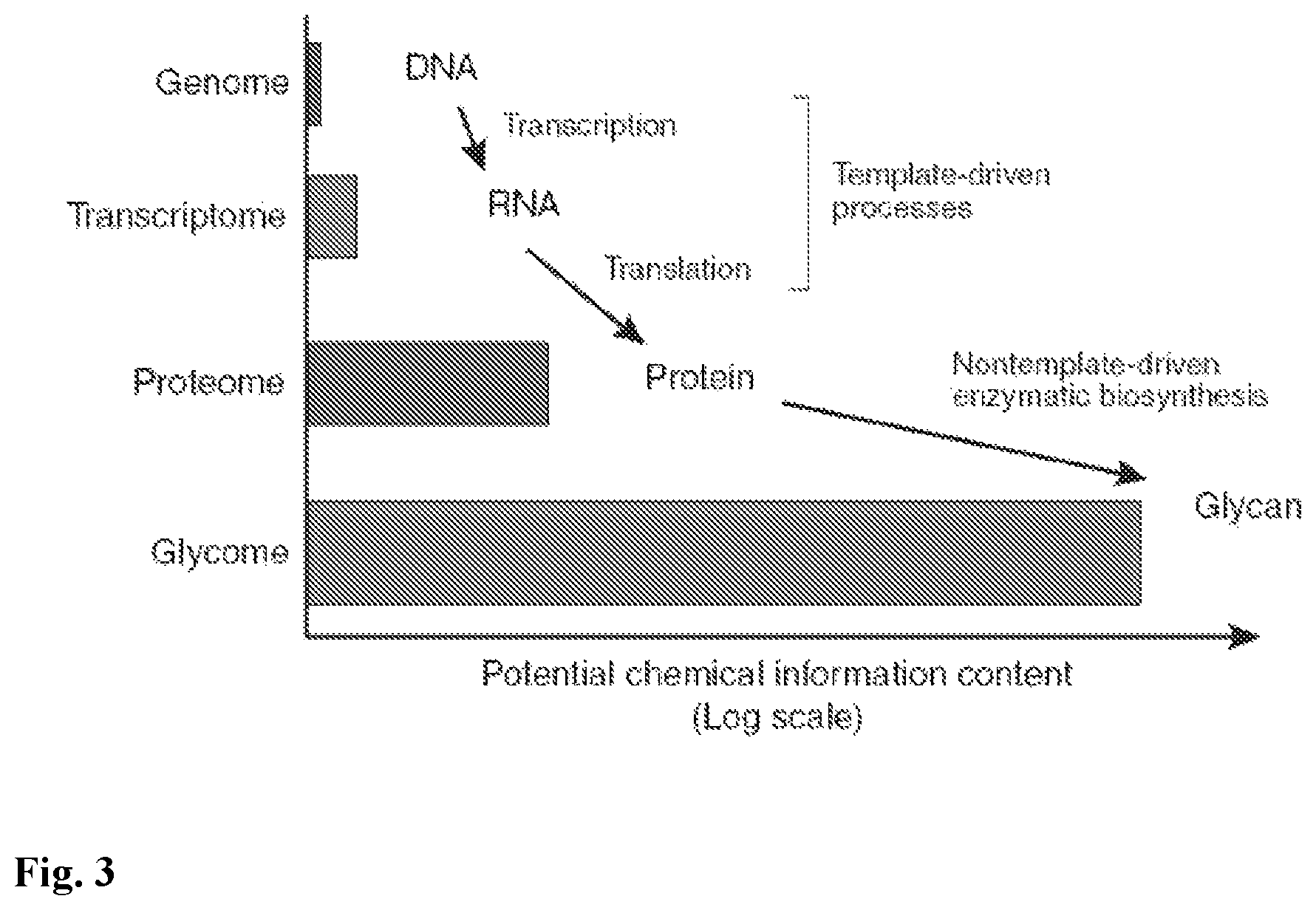 Patent US12174197 Figure 3 – Sulfonated 2(7)-aminoacridone and 1-aminopyrene dyes and their use as fluorescent tags, in particular for carbohydrate analysis