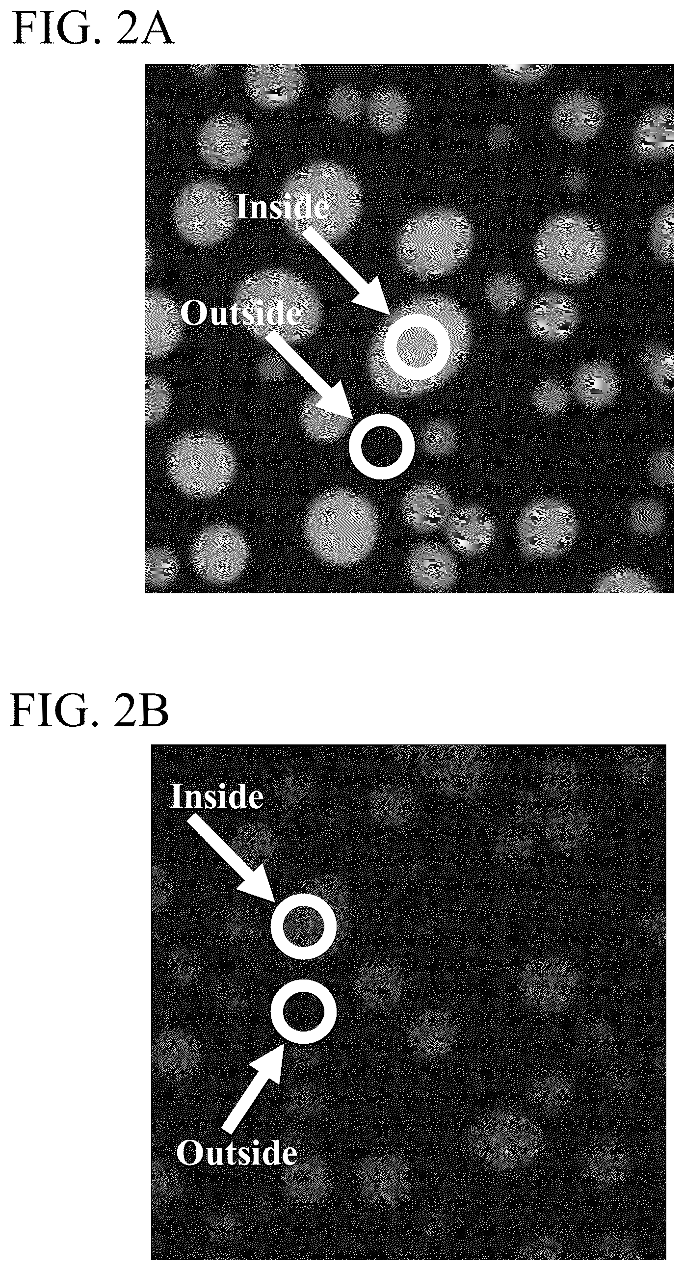 Patent US12174198 Figure 2 – Methods of characterizing condensate-associated characteristics of compounds and uses thereof