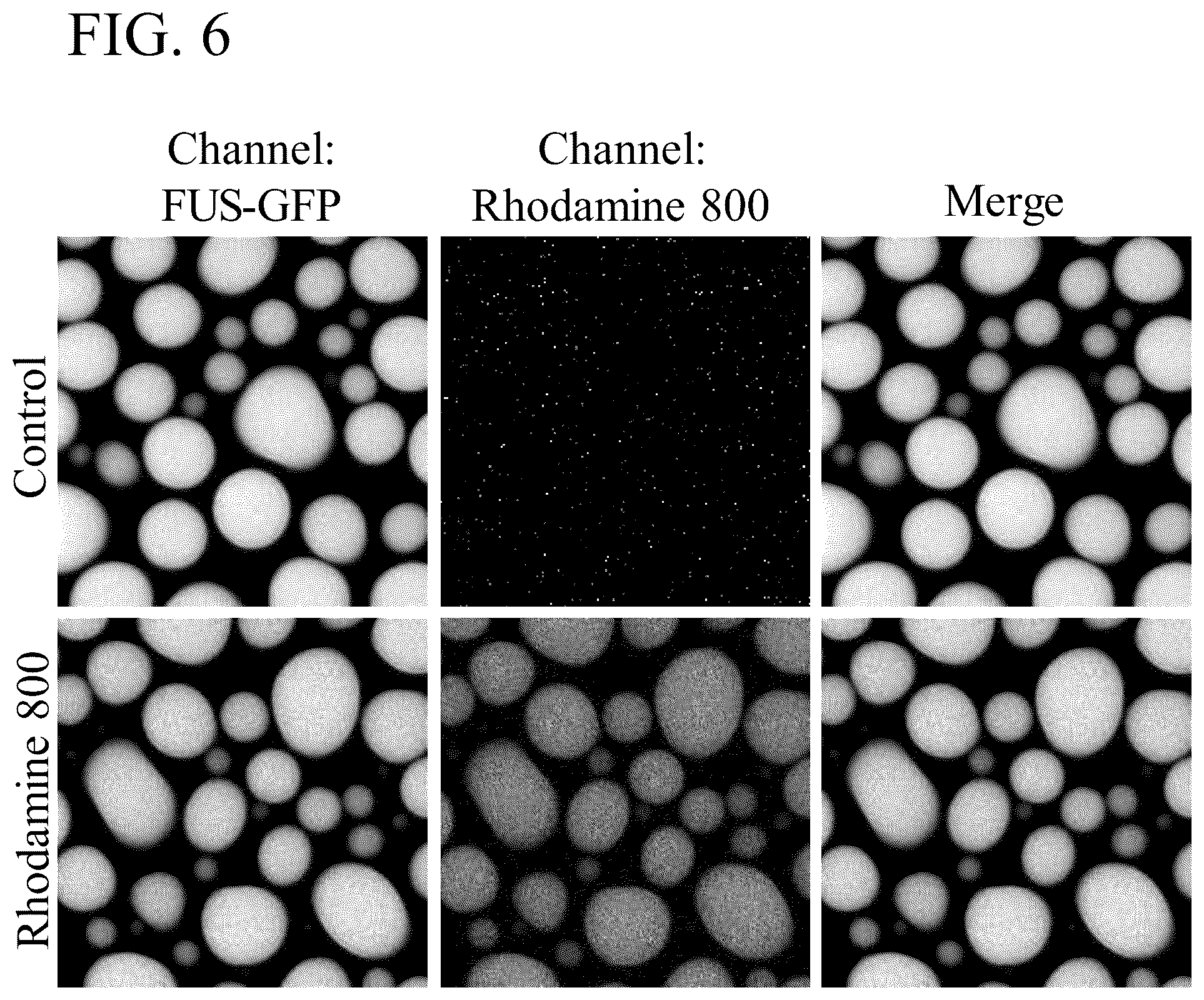 Patent US12174198 Figure 6 – Methods of characterizing condensate-associated characteristics of compounds and uses thereof