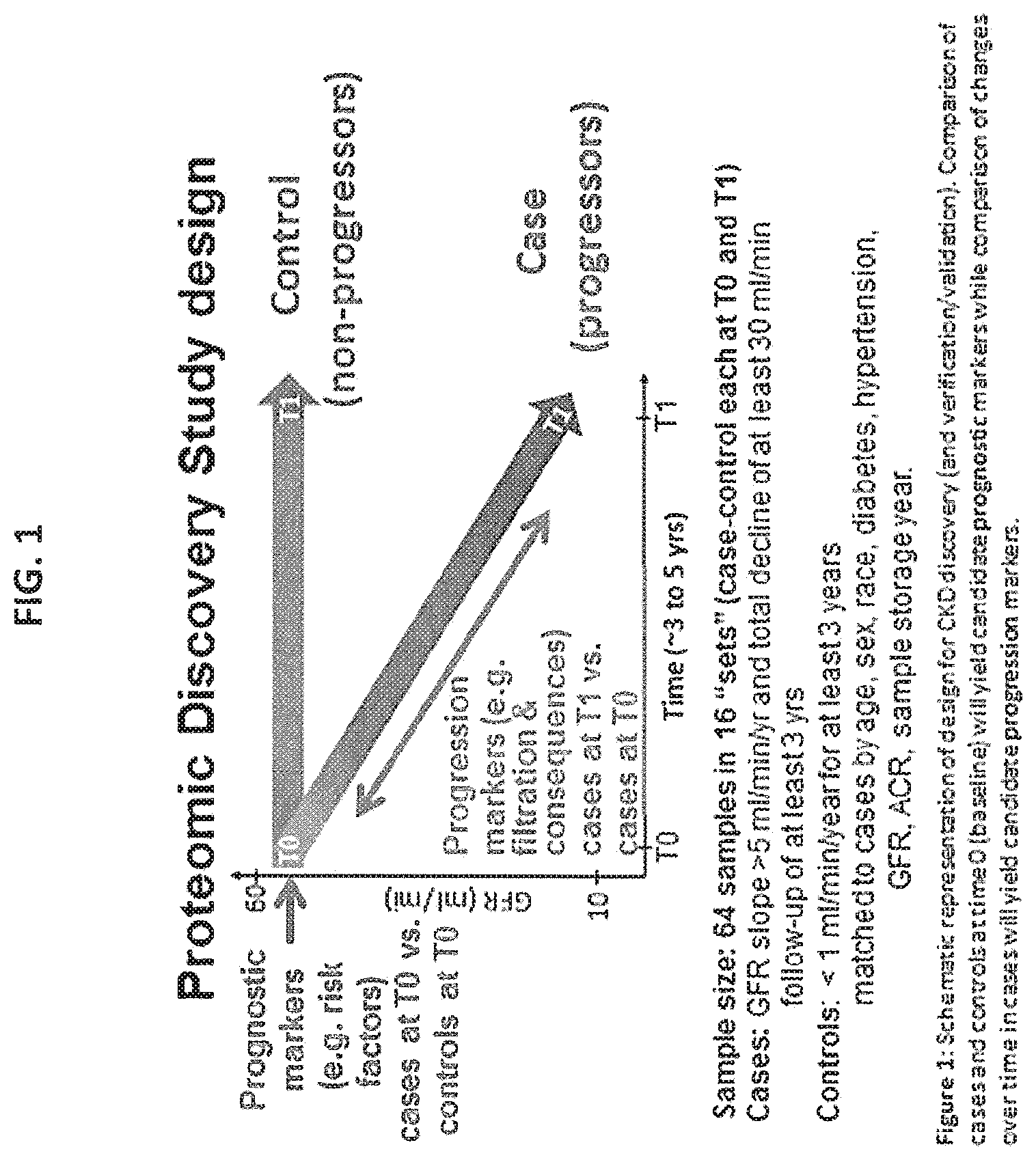 Patent US12174201 Figure 1 – Prognosis and progression biomarkers for chronic kidney disease