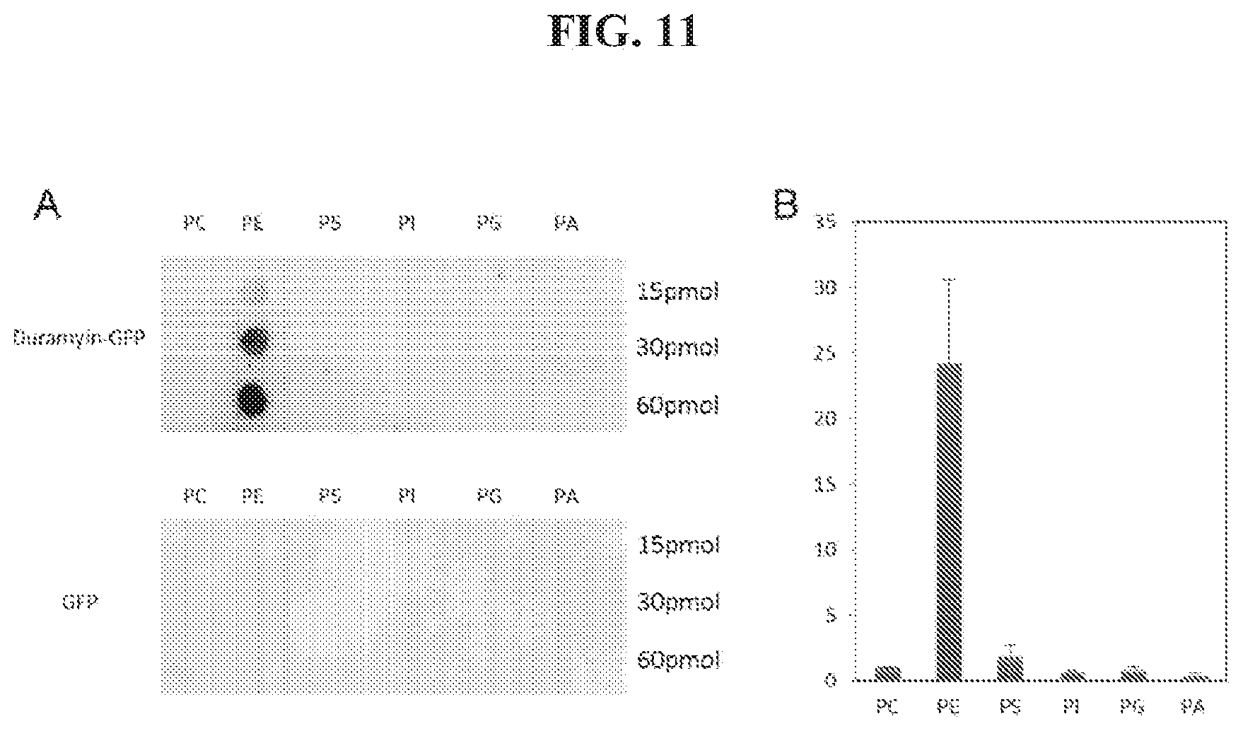Patent US12174205 Figure 11 – Phosphatidylethanolamine-specific probes