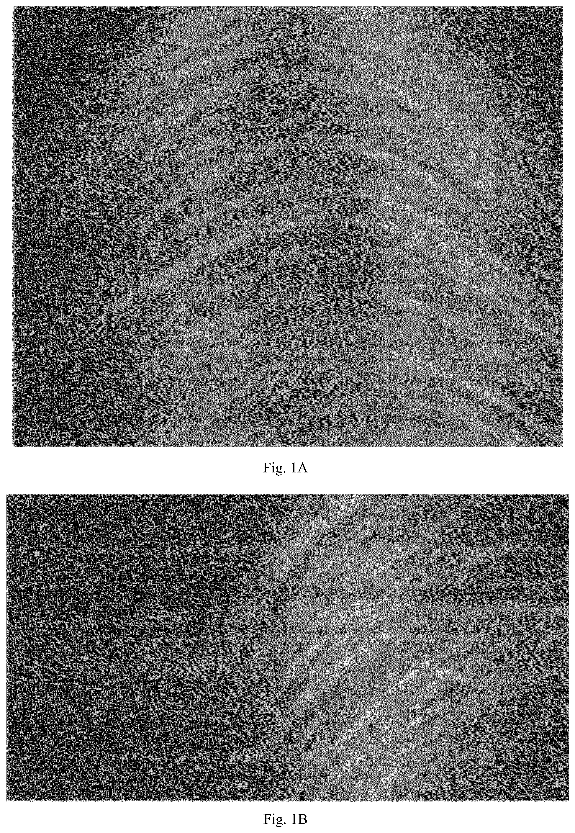 Patent US12174292 Figure 1 – Noise suppression method and system for inverse synthetic aperture radar micro-cluster objects using generative adversarial network