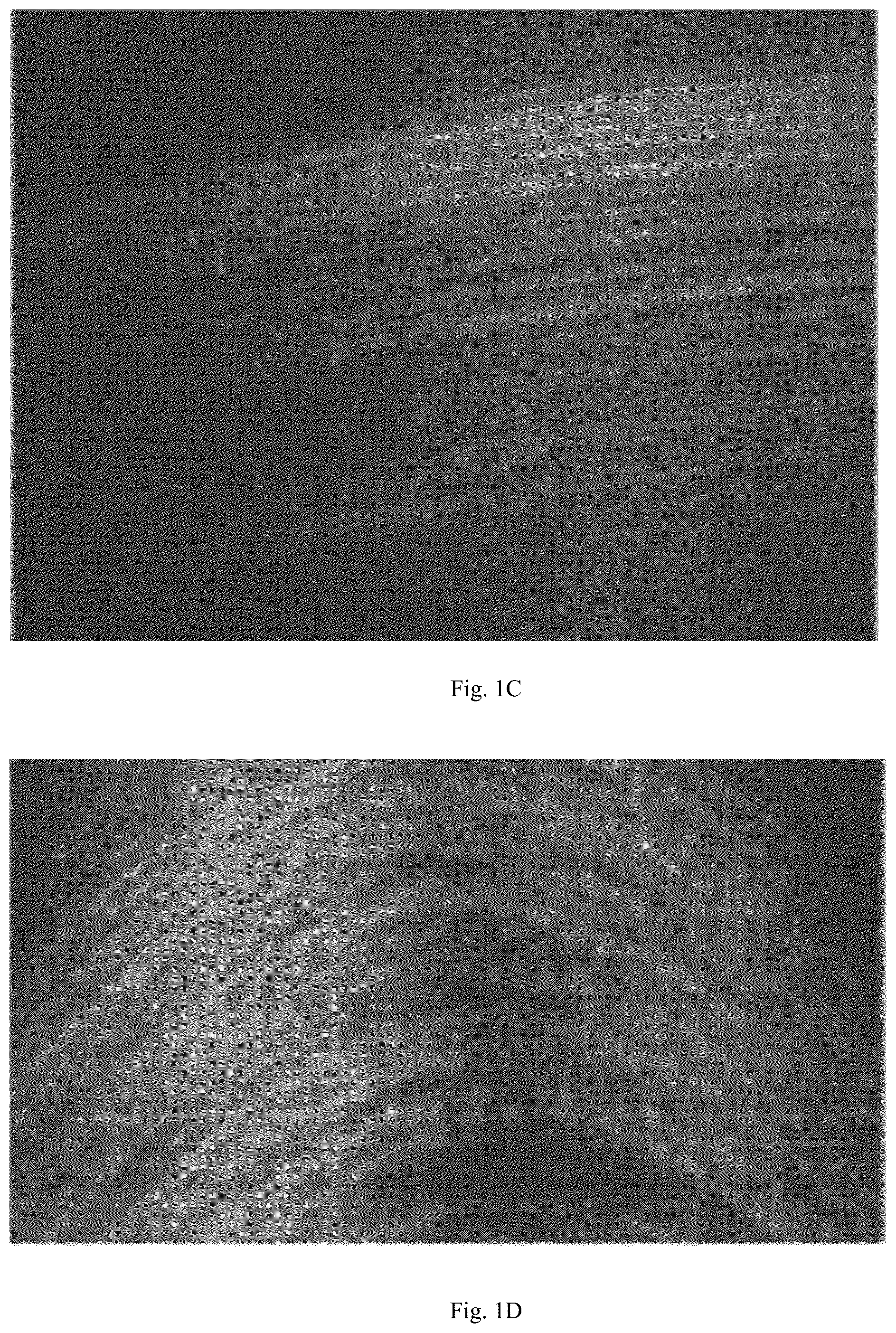 Patent US12174292 Figure 2 – Noise suppression method and system for inverse synthetic aperture radar micro-cluster objects using generative adversarial network