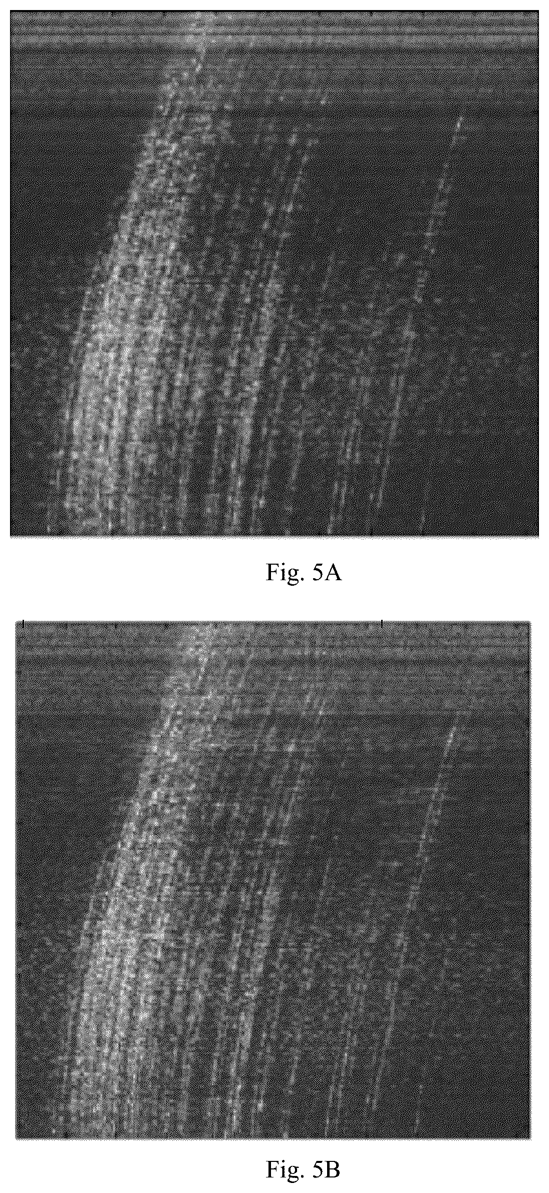 Patent US12174292 Figure 6 – Noise suppression method and system for inverse synthetic aperture radar micro-cluster objects using generative adversarial network