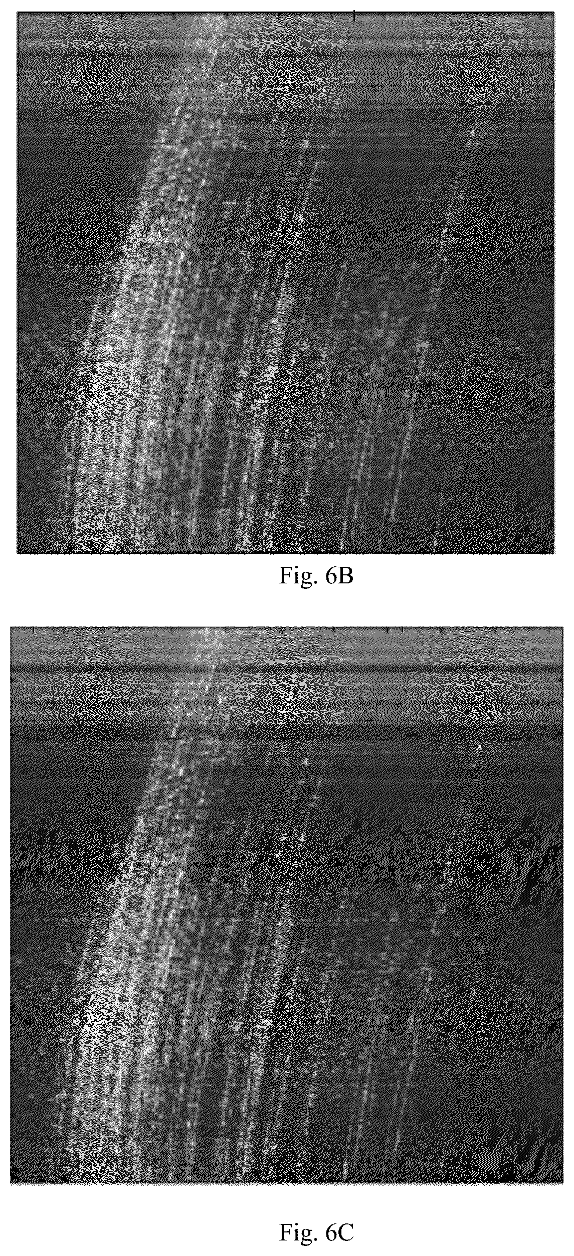 Patent US12174292 Figure 9 – Noise suppression method and system for inverse synthetic aperture radar micro-cluster objects using generative adversarial network