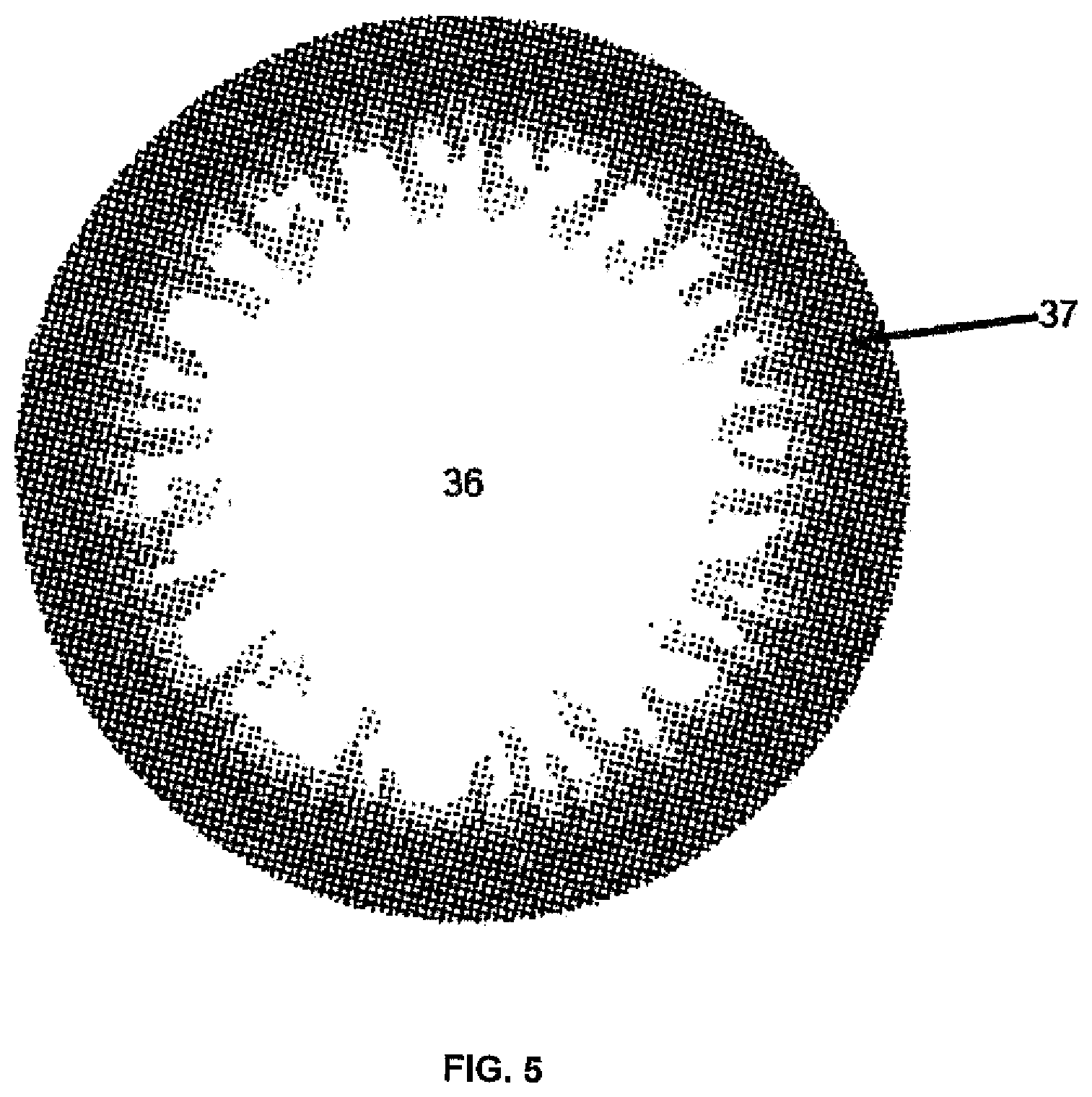 Patent US12174462 Figure 5 – Cosmetic functional contact lens