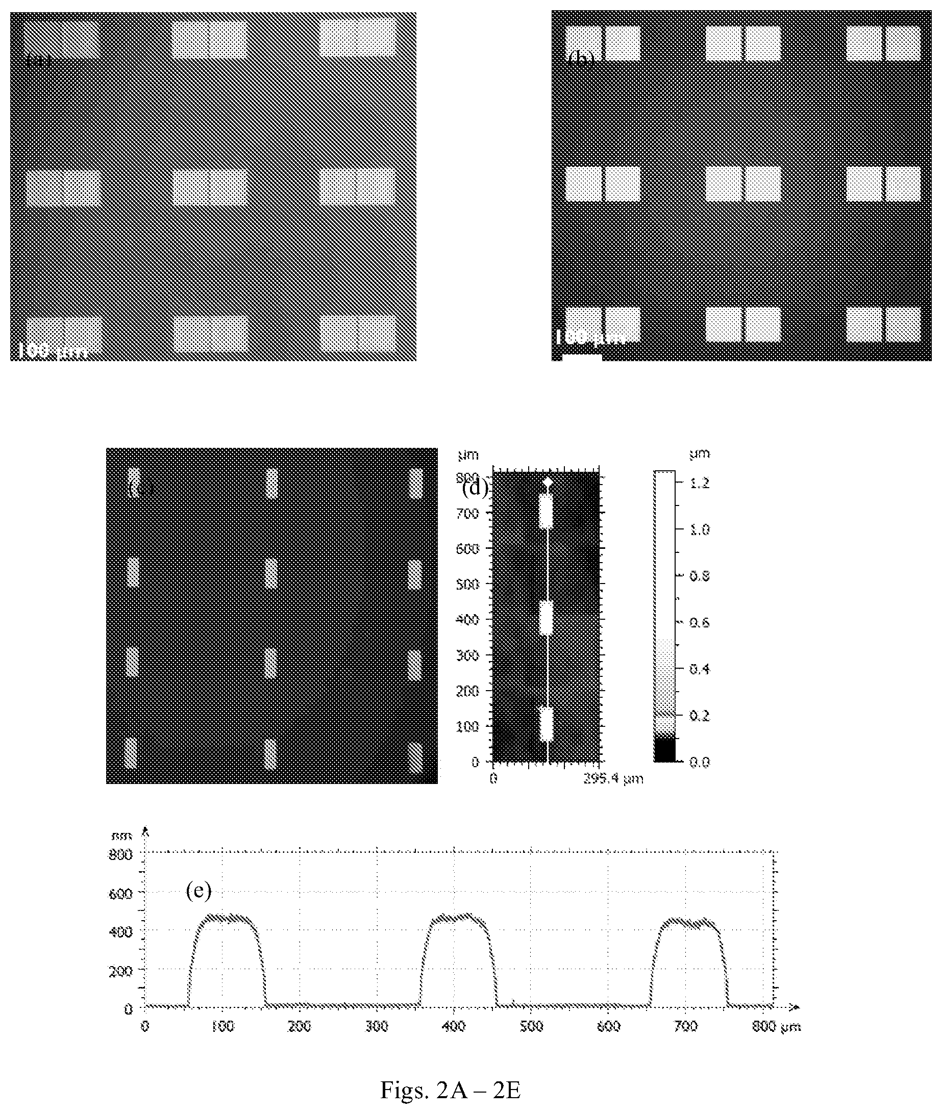 Patent US12174534 Figure 2 – Fast fluidic assembly method for nanoscale and microscale printing