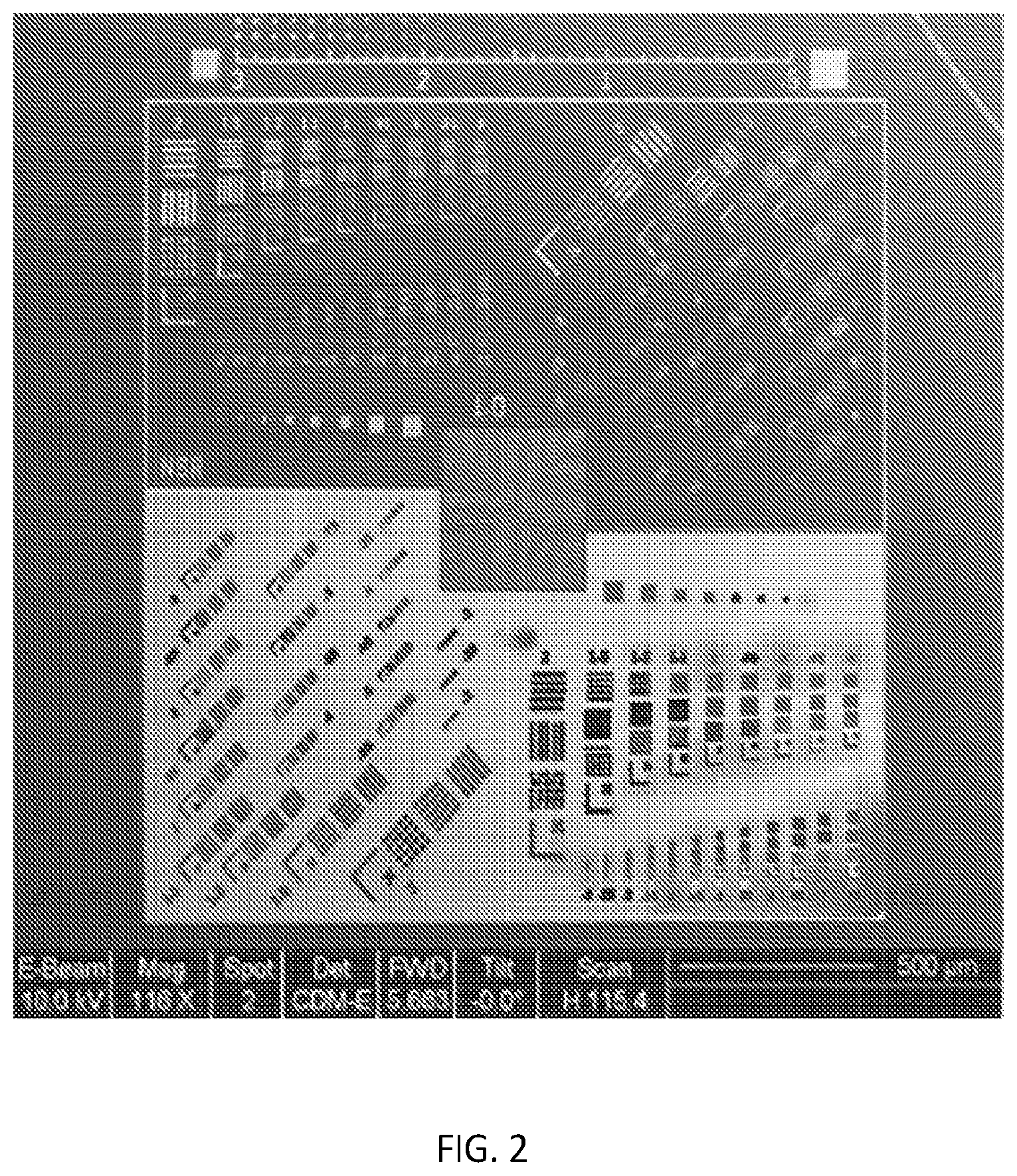 Patent US12174544 Figure 2 – Photoresist-free deposition and patterning with vacuum ultraviolet lamps