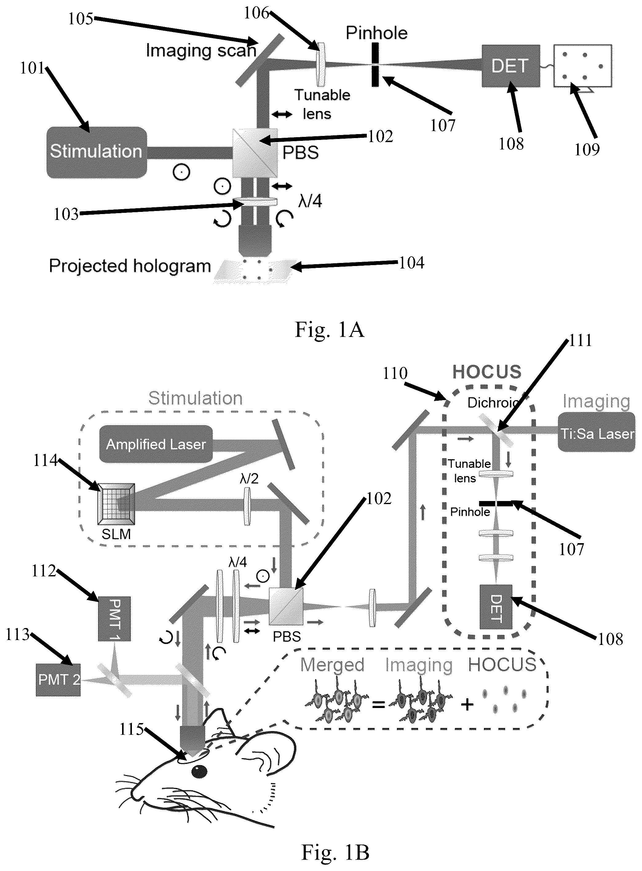 Patent US12174585 Figure 1 – System and method for real-time in-situ holographic microscopy