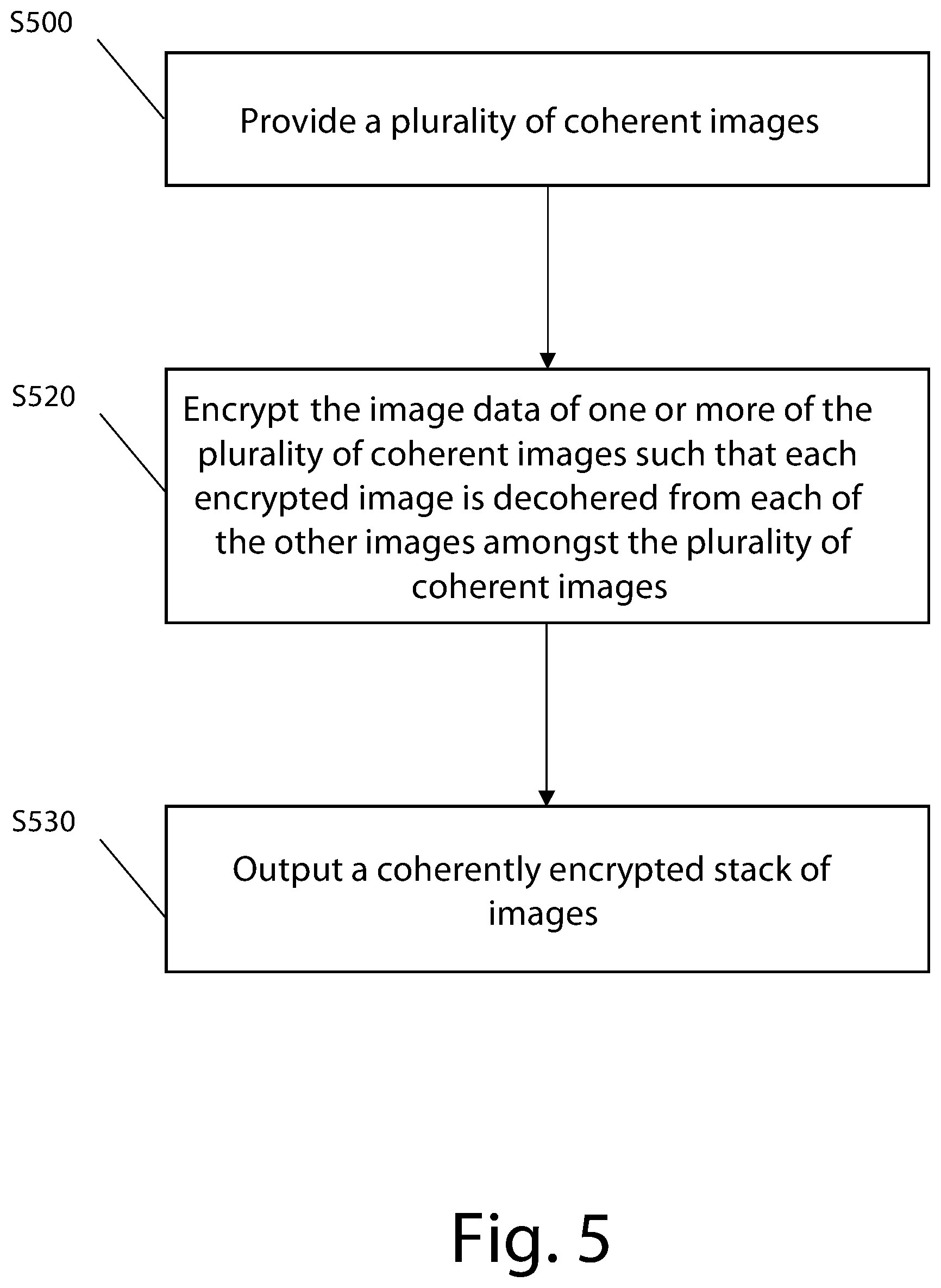 Patent US12174981 Figure 6 – Coherent image encryption