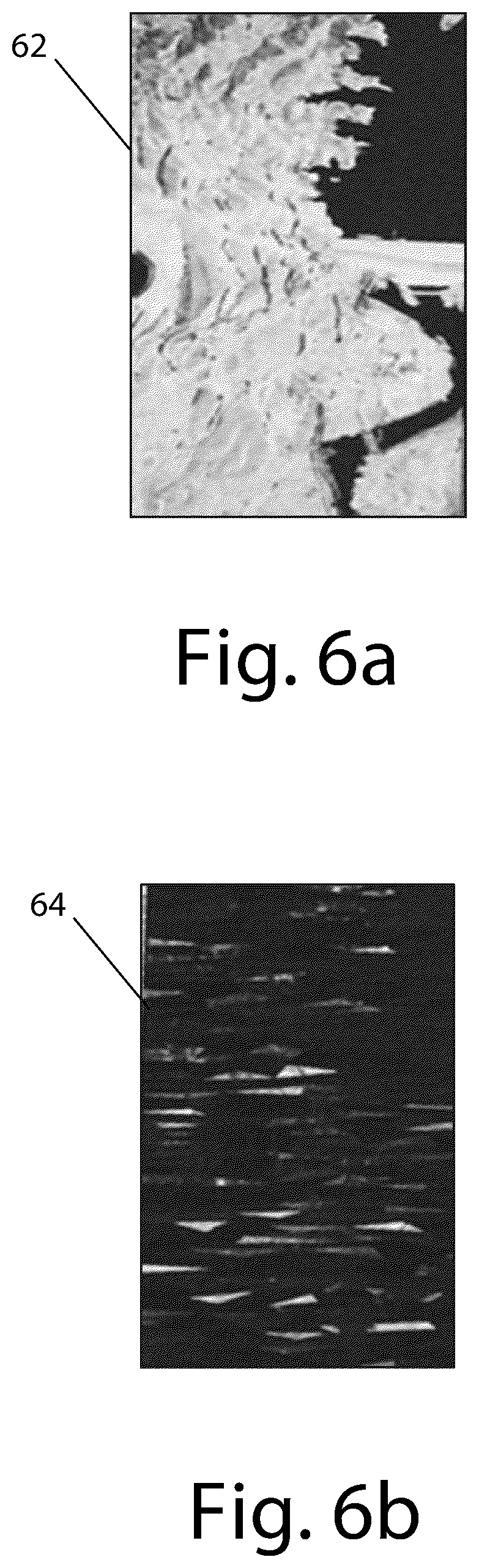 Patent US12174981 Figure 7 – Coherent image encryption