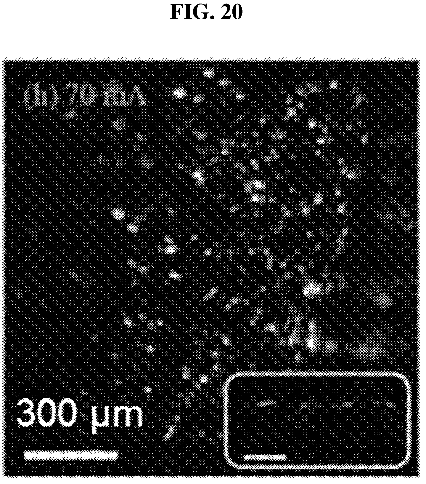 Patent US12184794 Figure 20 – Apparatus for quantum-based physically unclonable functions