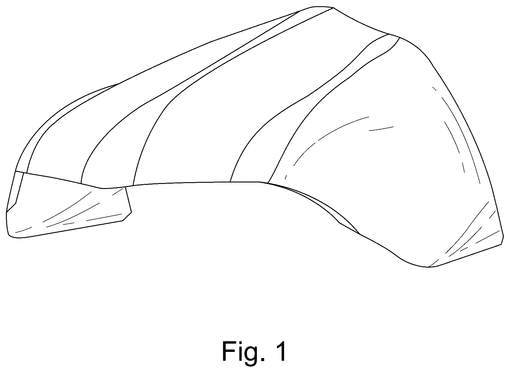 Patent USD1043080 Figure 1 – Shoe insert