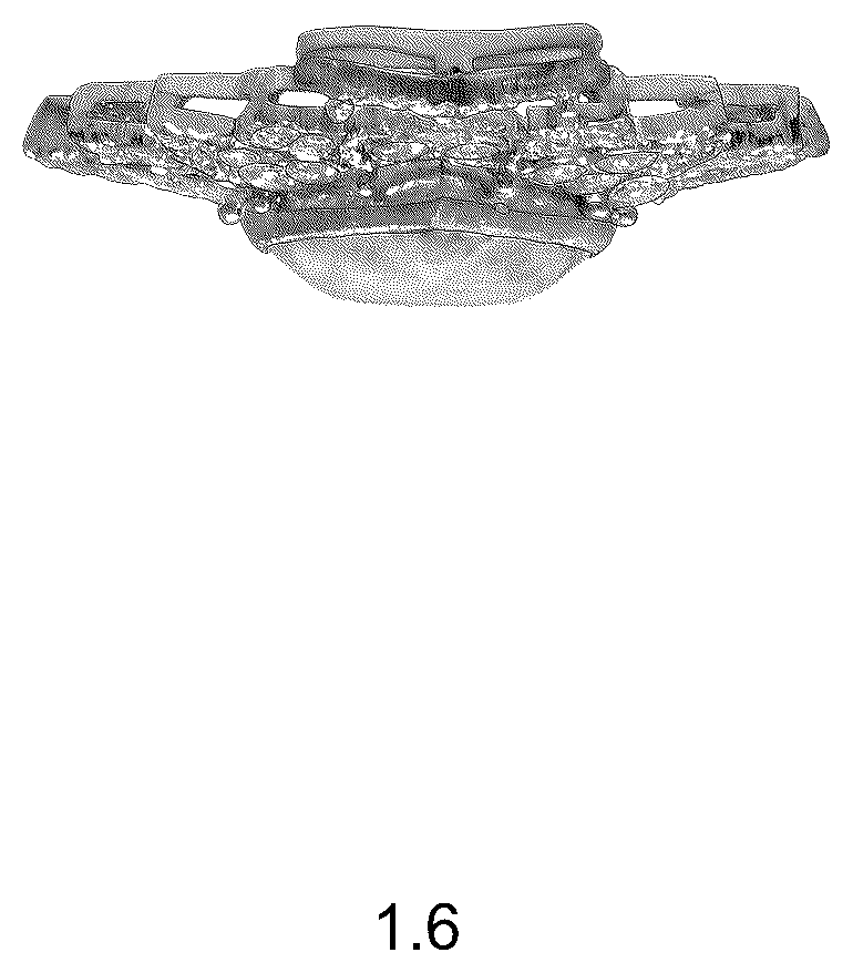 Patent USD1043422 Figure 6 – Pendant