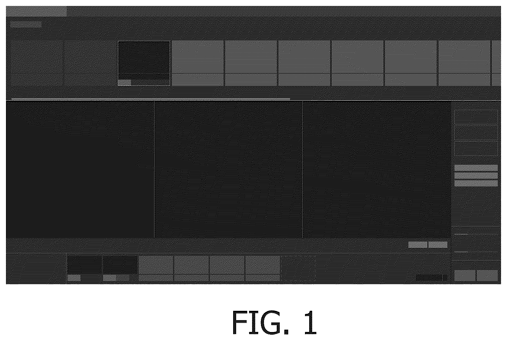 Patent USD1043709 Figure 1 – Display panel with animated graphical user interface