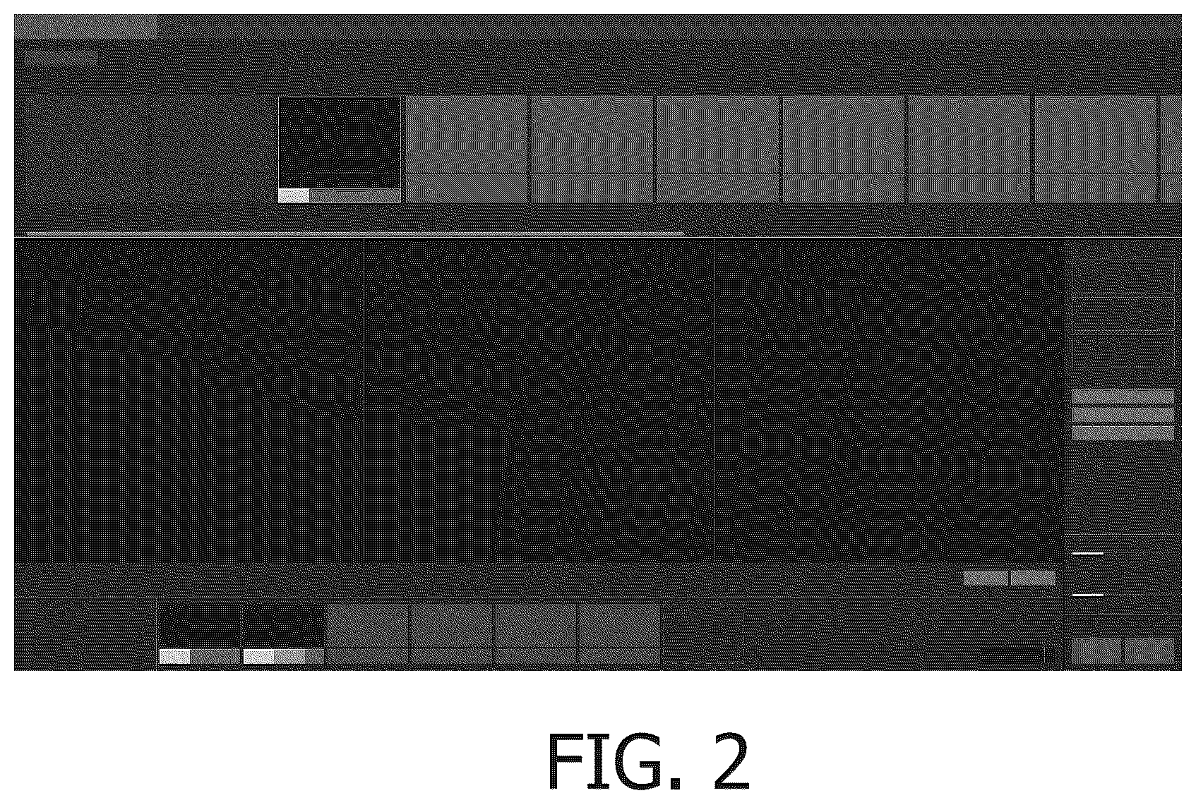 Patent USD1043709 Figure 2 – Display panel with animated graphical user interface