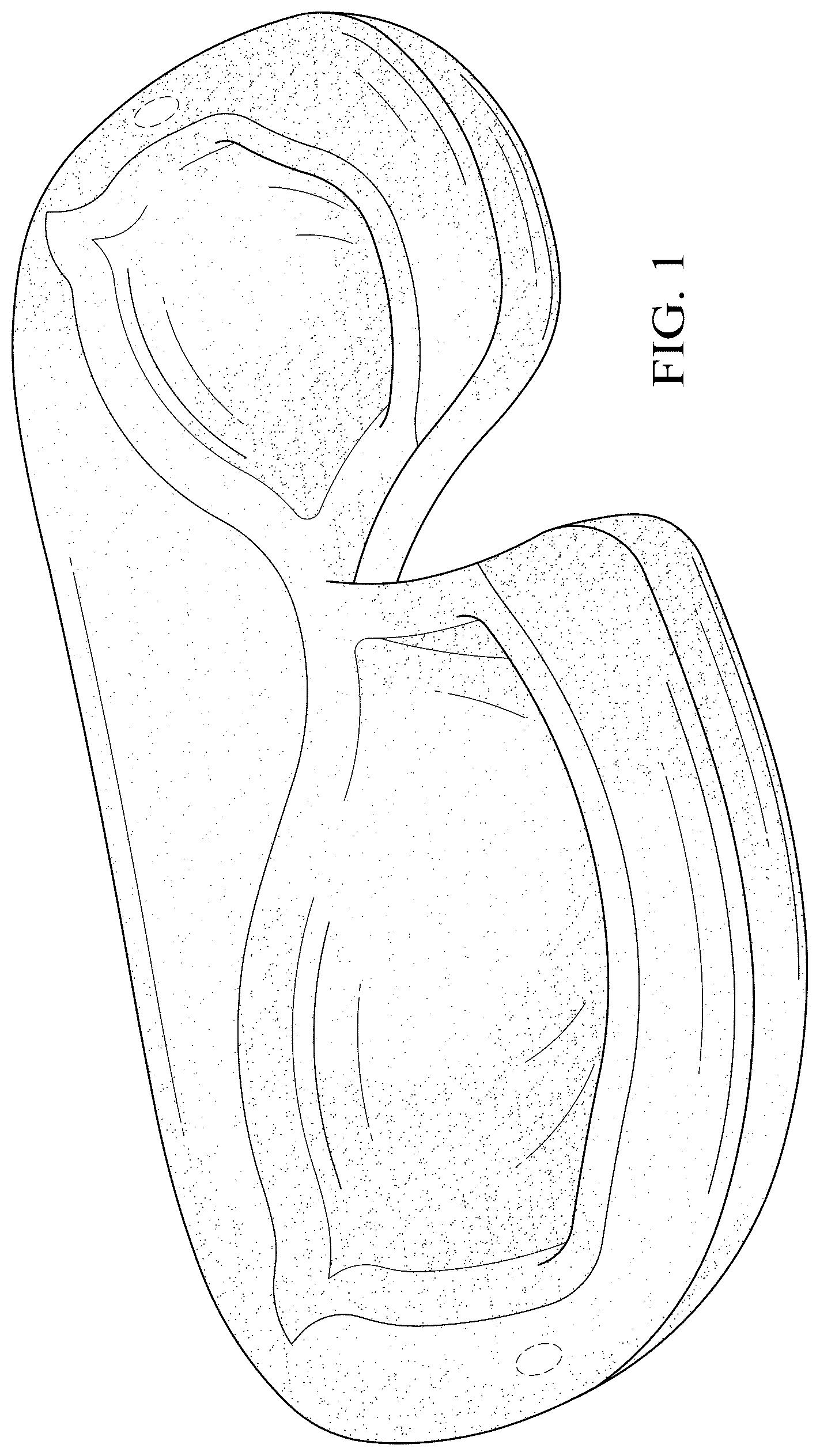 Patent USD1043798 Figure 1 – Eyelash and eyebrow protector