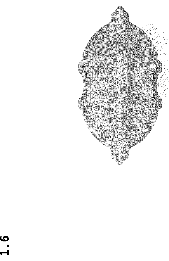 Patent USD1044006 Figure 6 – Teether for babies