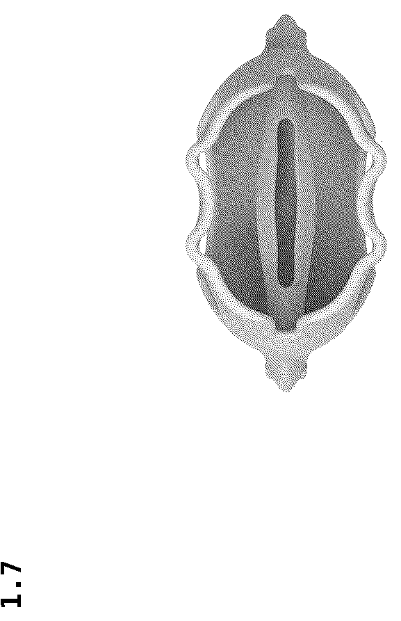 Patent USD1044006 Figure 7 – Teether for babies