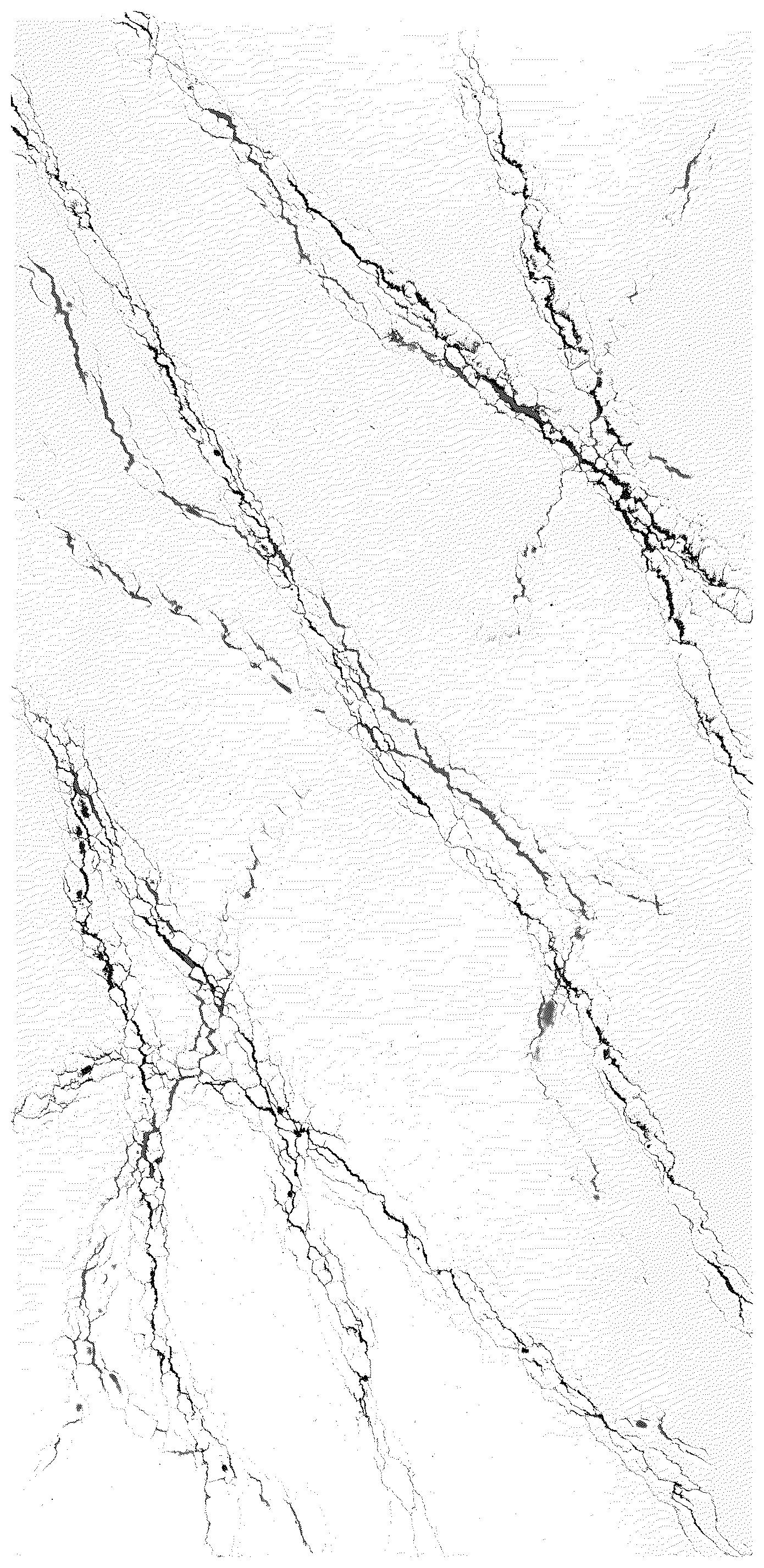 Patent USD1044045 Figure 1 – Slab comprising particulate mineral mixture