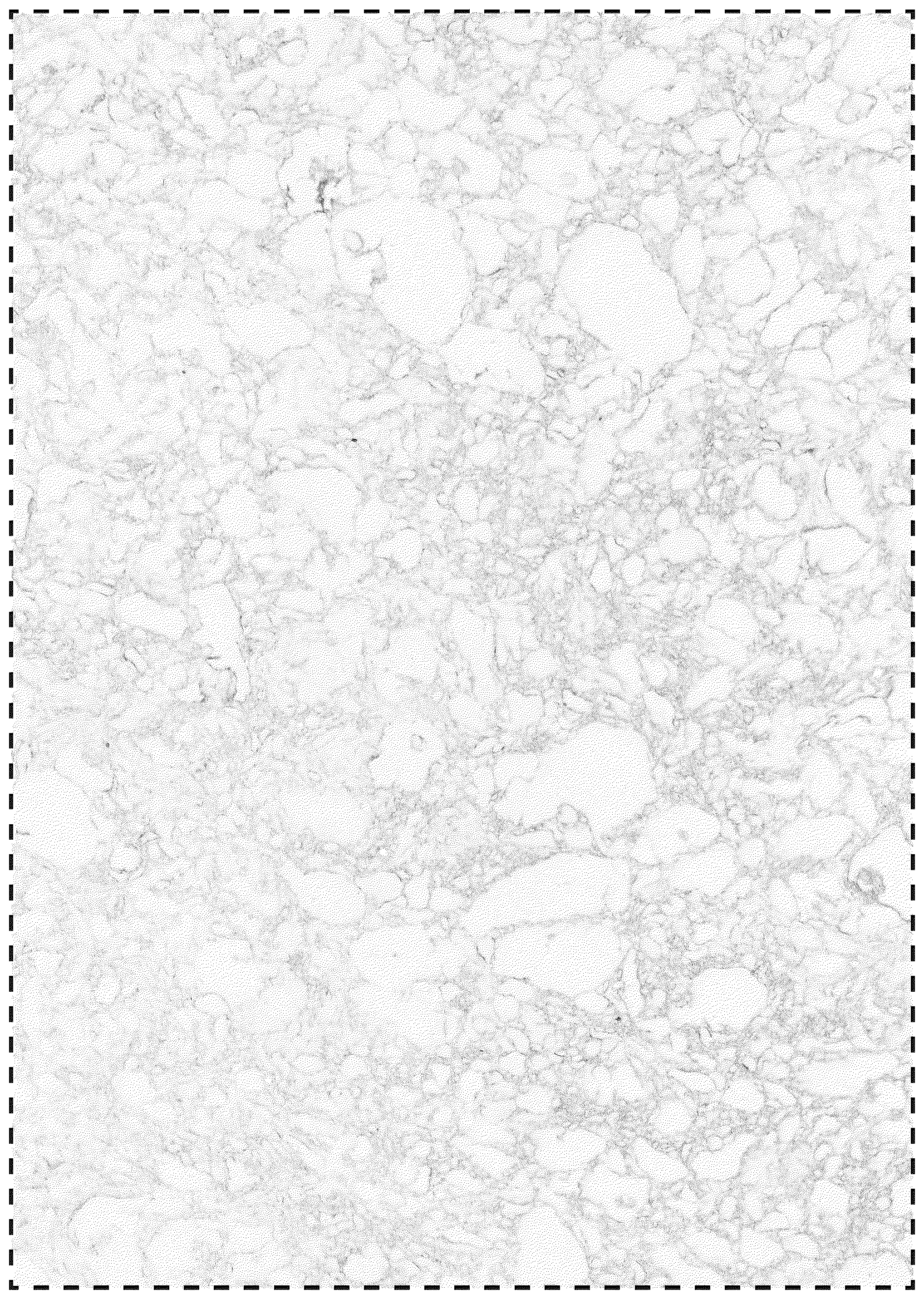 Patent USD1044047 Figure 1 – Slab comprising particulate mineral mixture