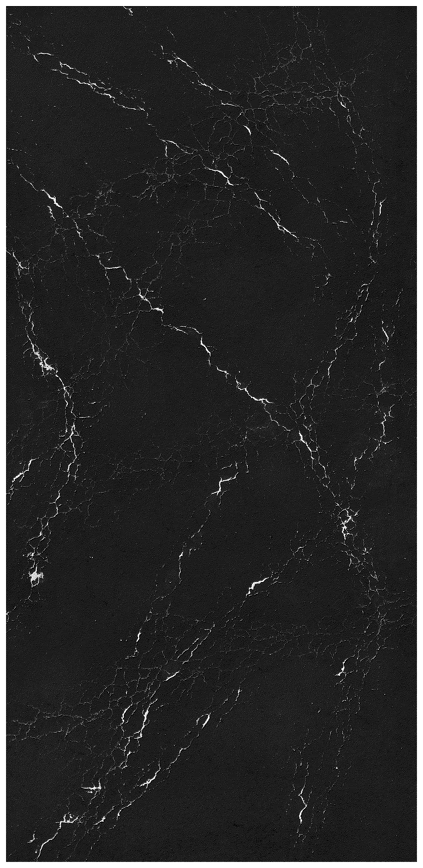 Patent USD1044048 Figure 1 – Slab comprising particulate mineral mixture