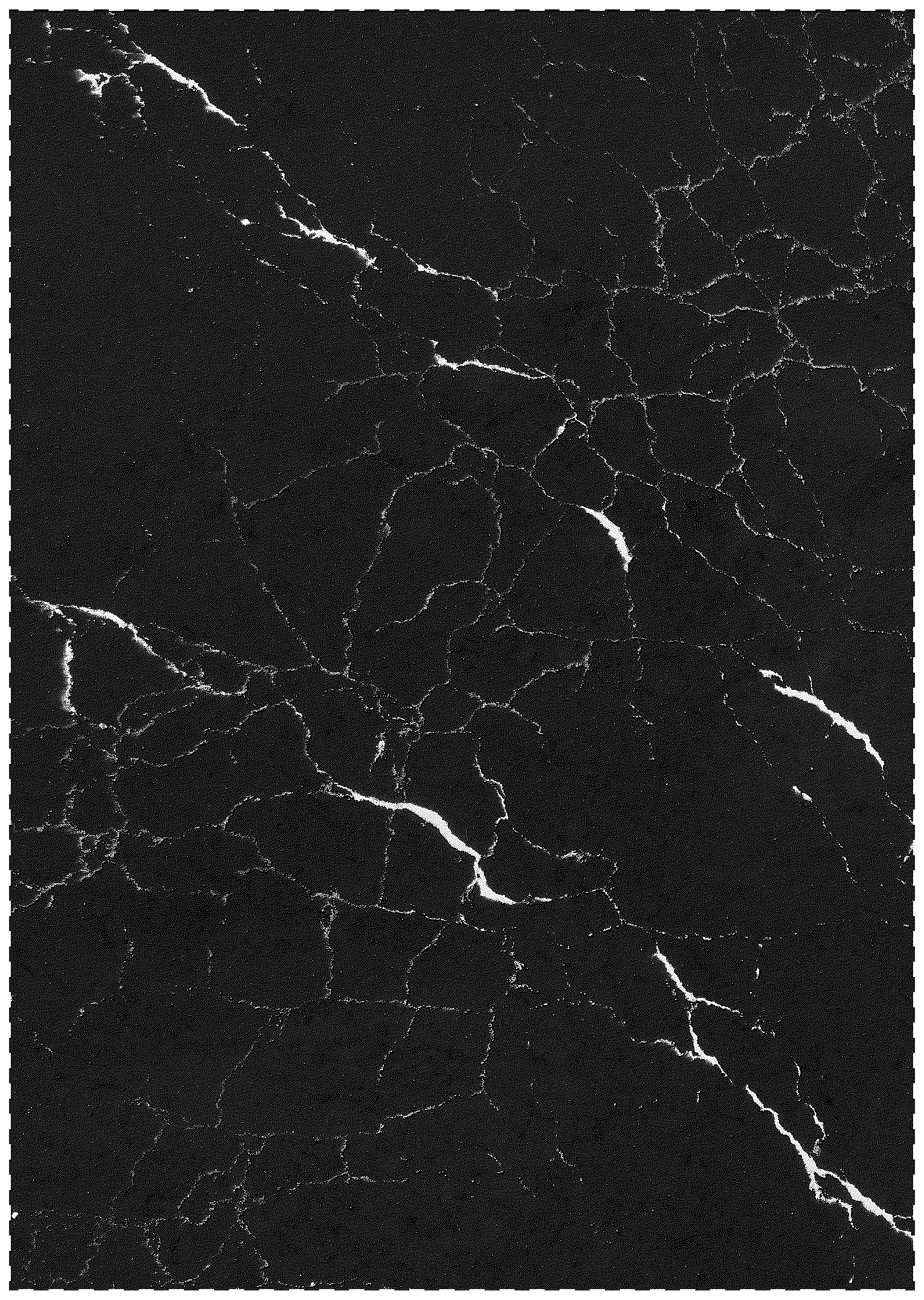 Patent USD1044049 Figure 1 – Slab comprising particulate mineral mixture
