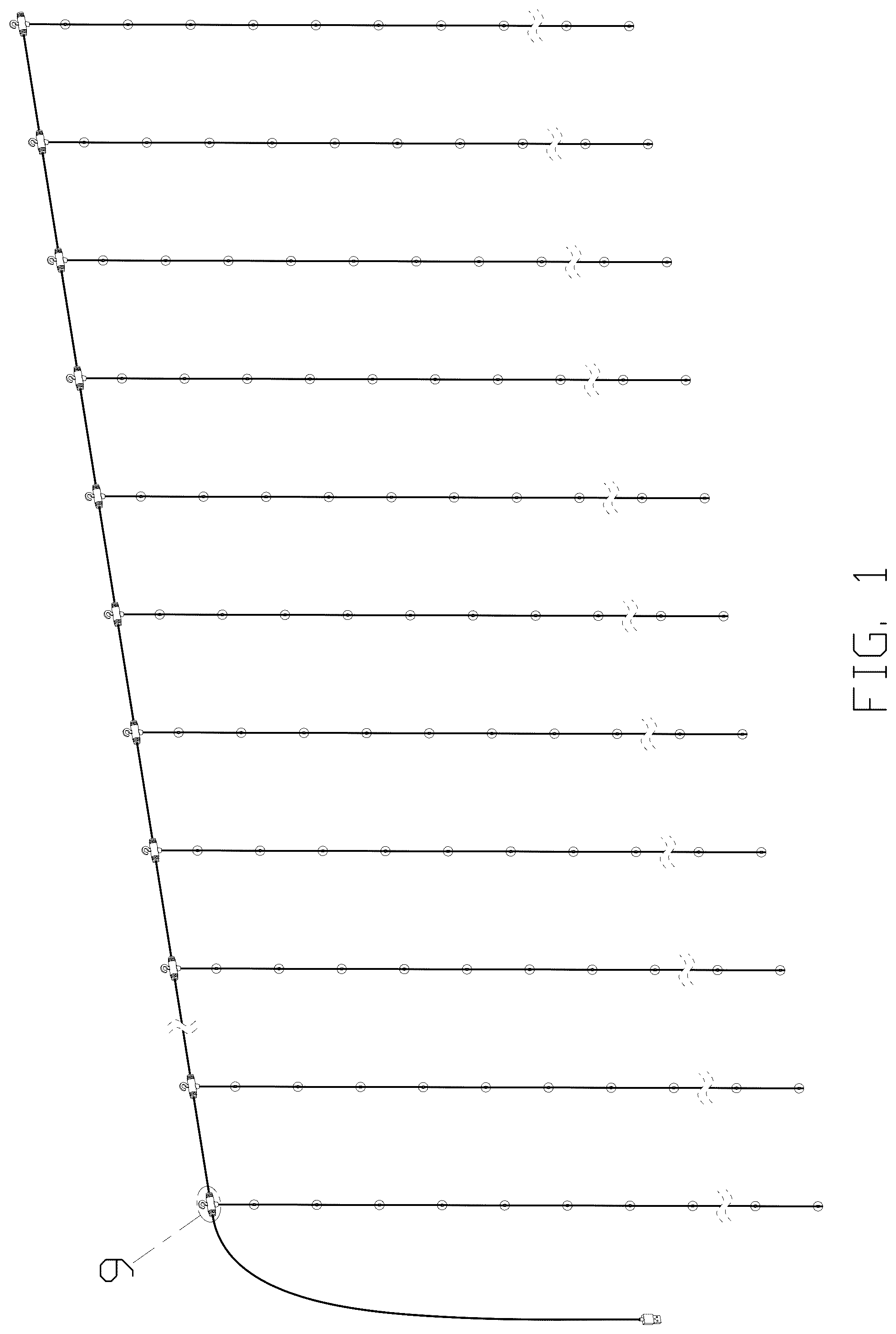 Patent USD1044055 Figure 1 – Light string