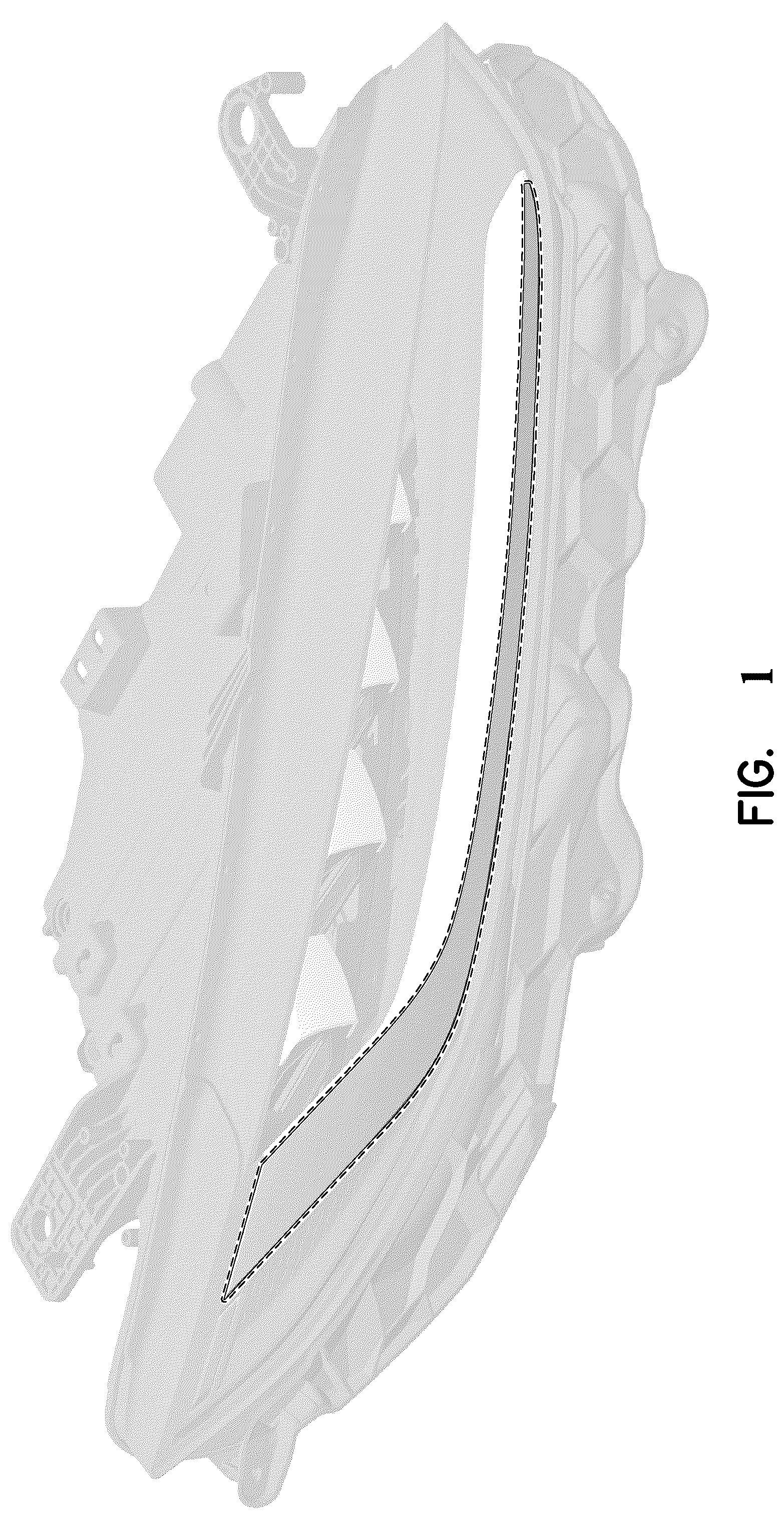 Patent USD1044064 Figure 1 – Headlight daytime running light arrangement