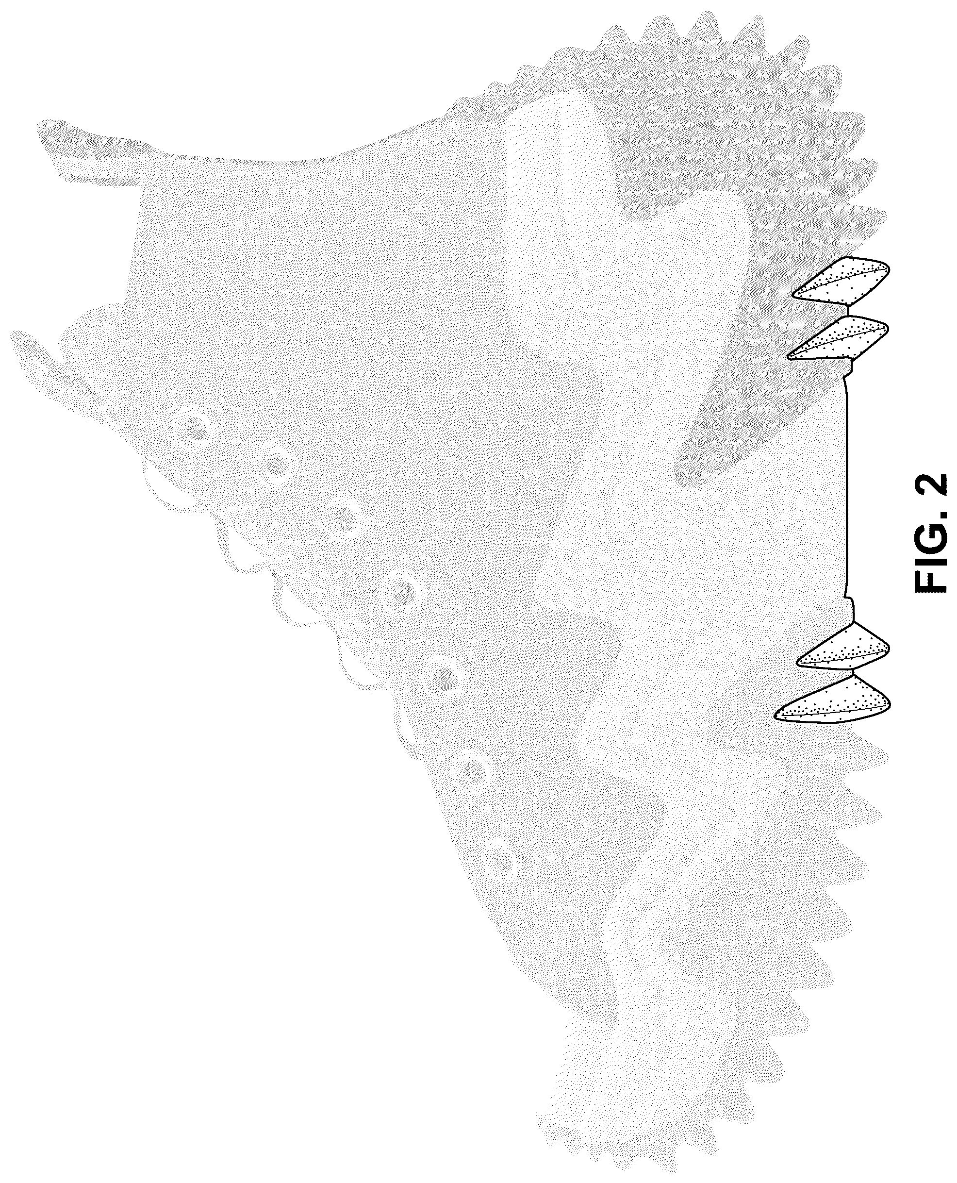 Patent USD1044243 Figure 2 – Shoe