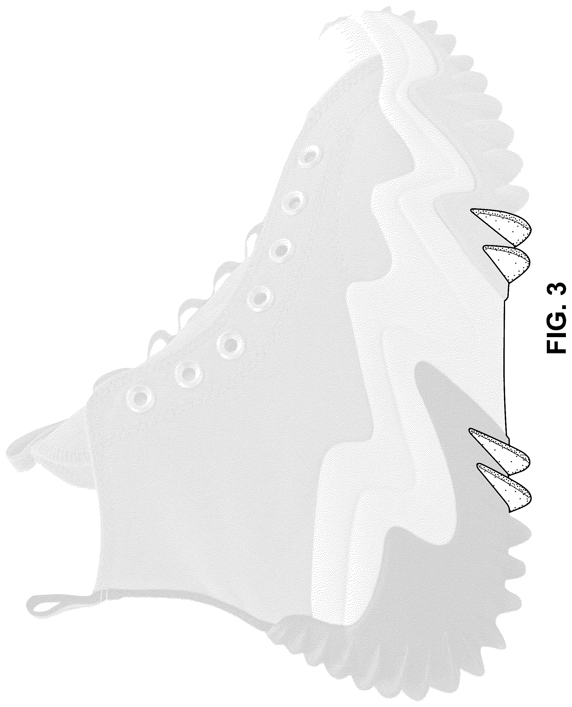 Patent USD1044243 Figure 3 – Shoe