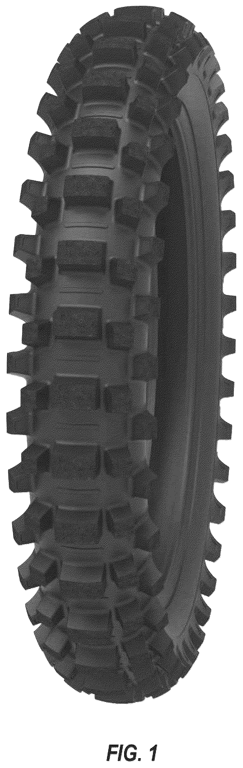 Patent USD1044694 — Motorcycle tire — Figure 1