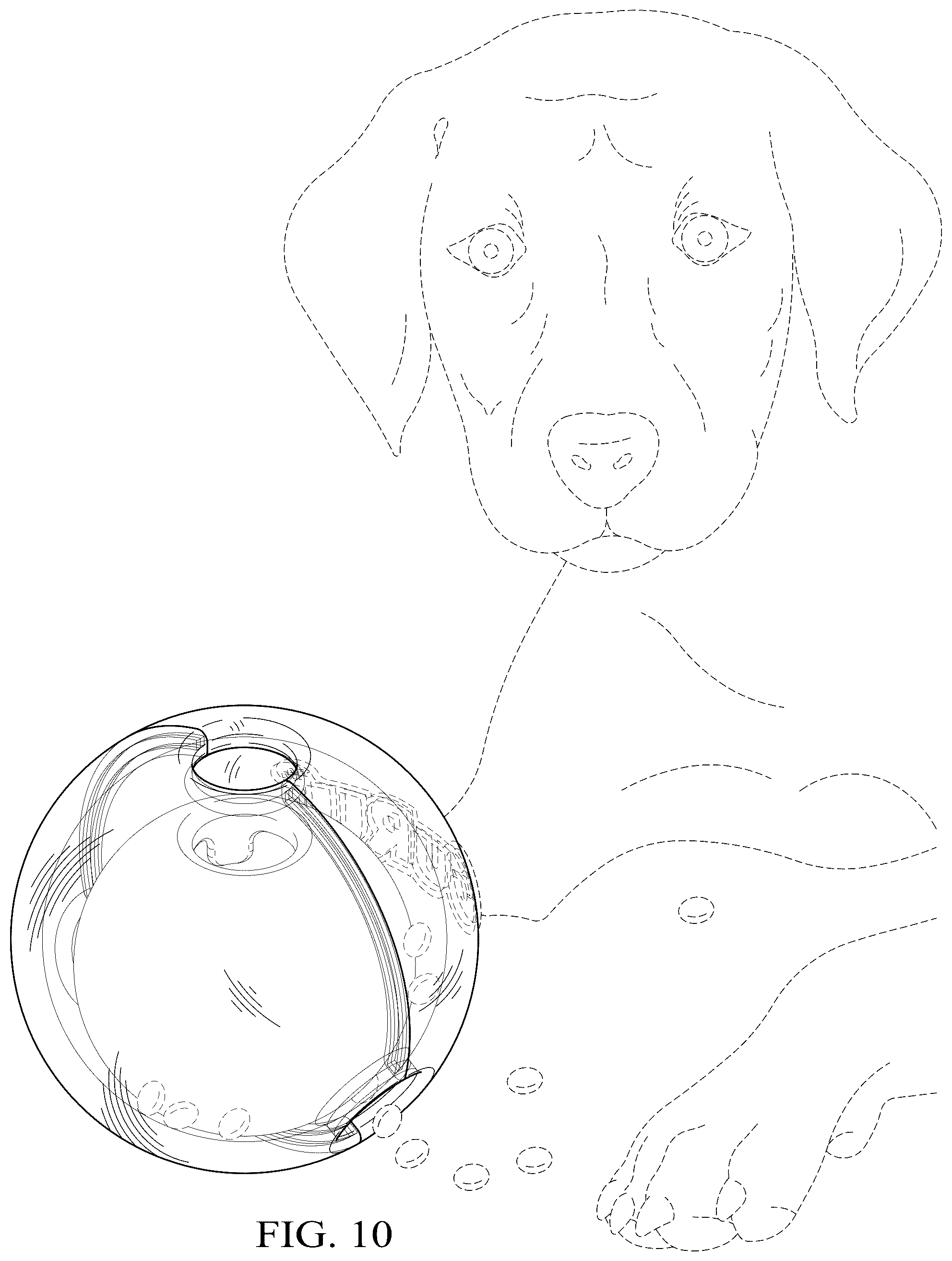 Patent USD1045256 Figure 10 – Pet toy