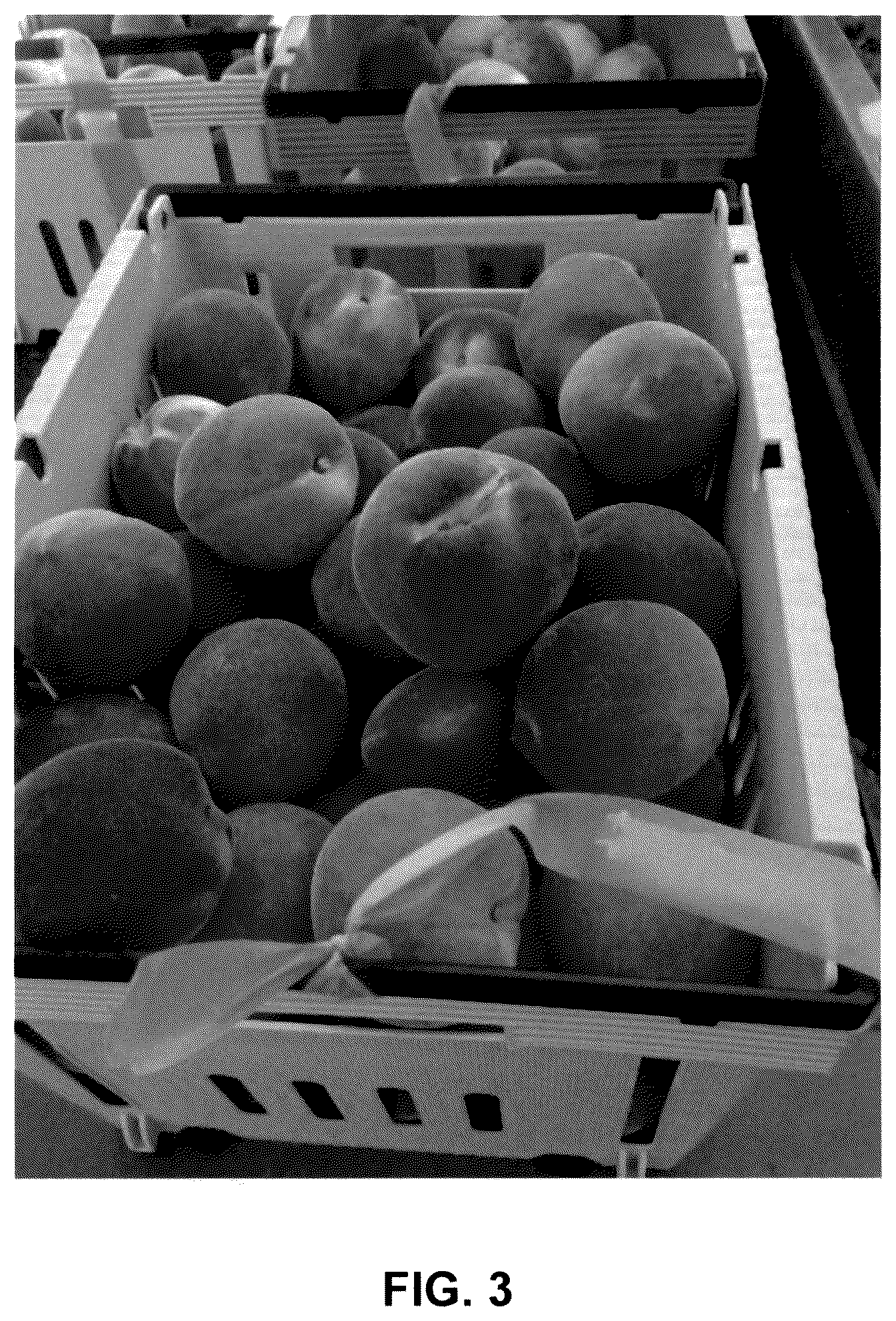 Patent USPP036112 Figure 3 – Peach tree named EveRes Ruby