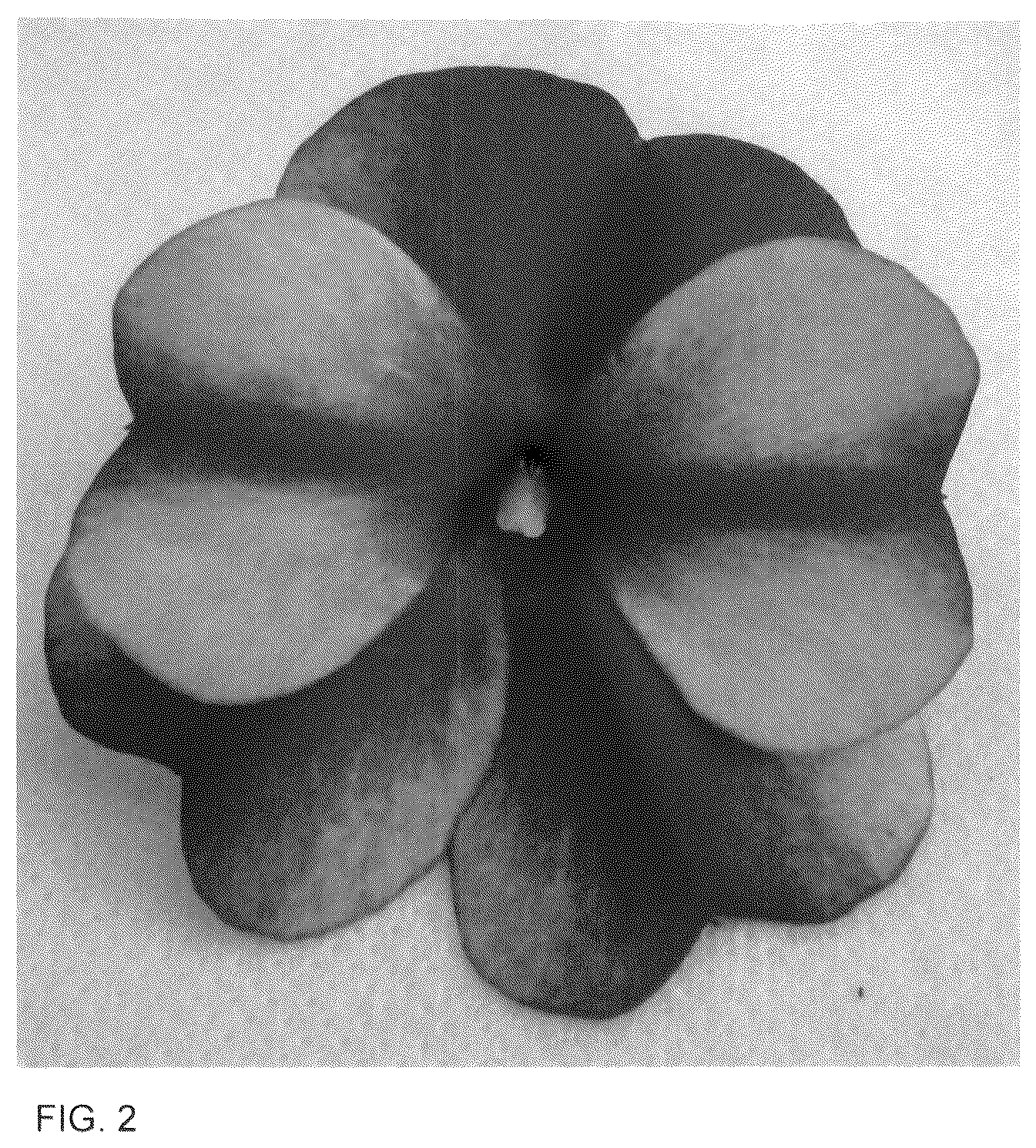 Patent USPP036125 Figure 2 – New guinea impatiens plant named ‘Dongipetresta’
